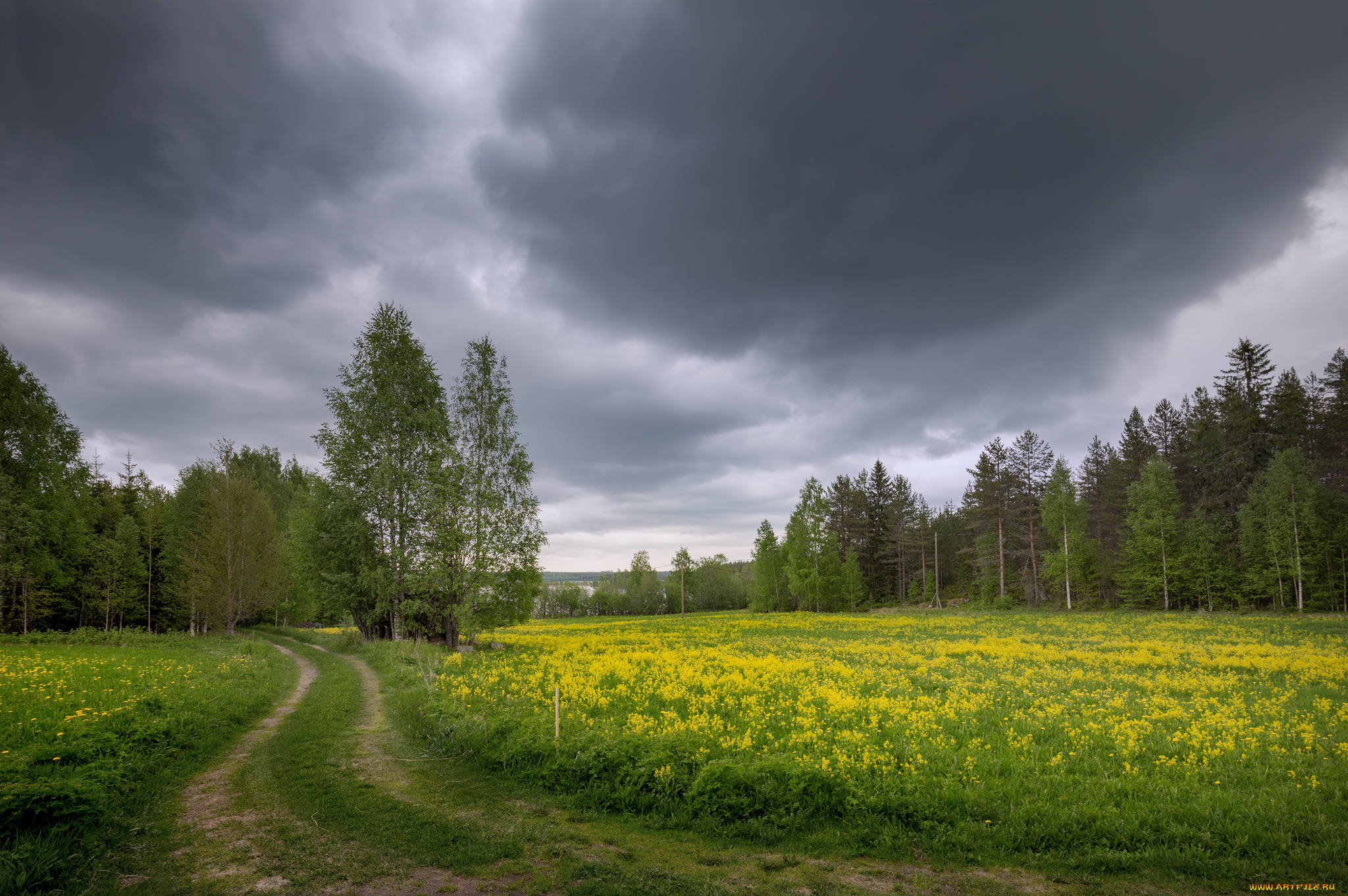 природа, дороги, тракт