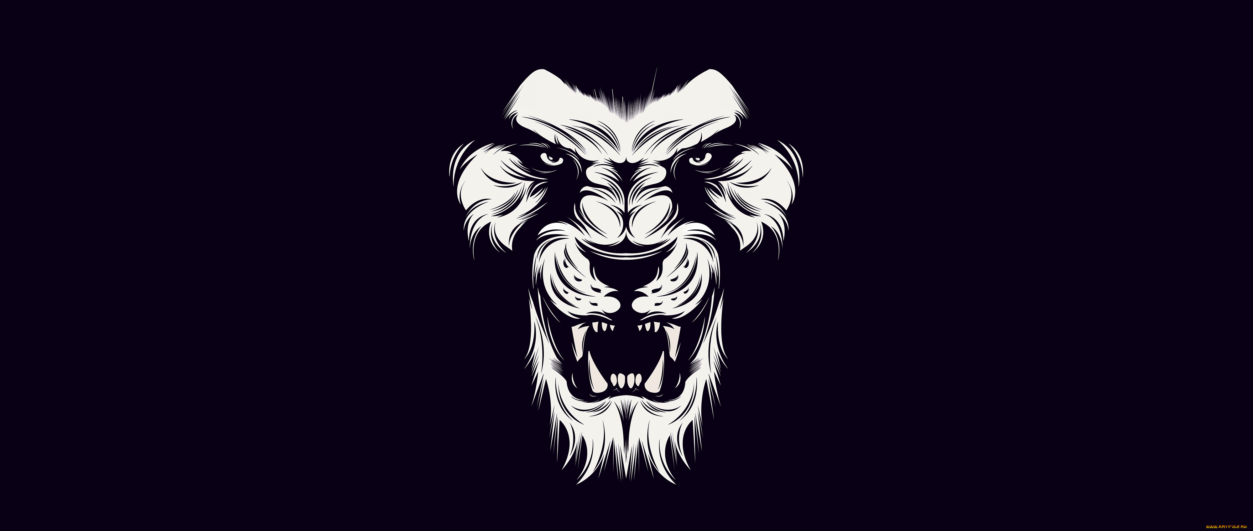 рисованное, минимализм, black, lion, white