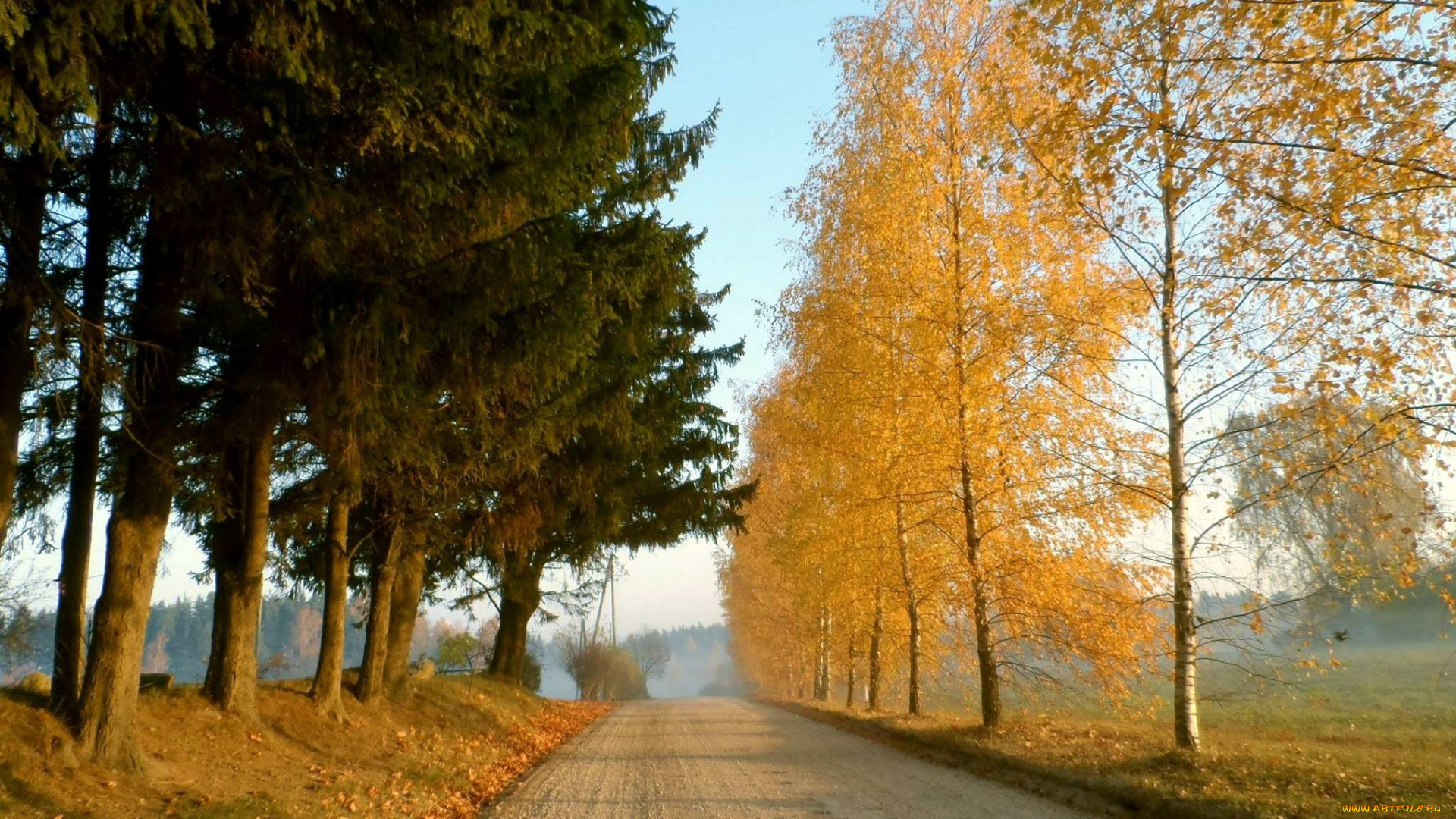 природа, дороги, деревья, дорога, осень
