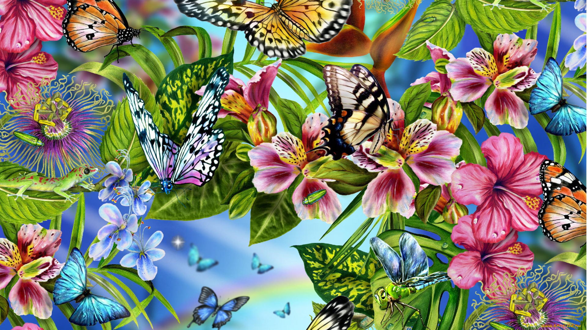 рисованное, животные, , бабочки, бабочки, цветы