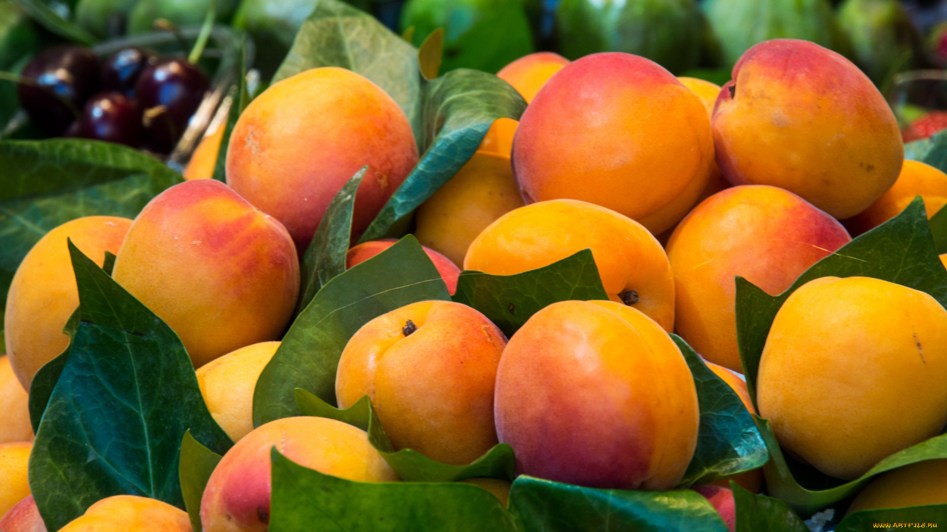 еда, персики, , сливы, , абрикосы, фрукты, листья, много, урожай