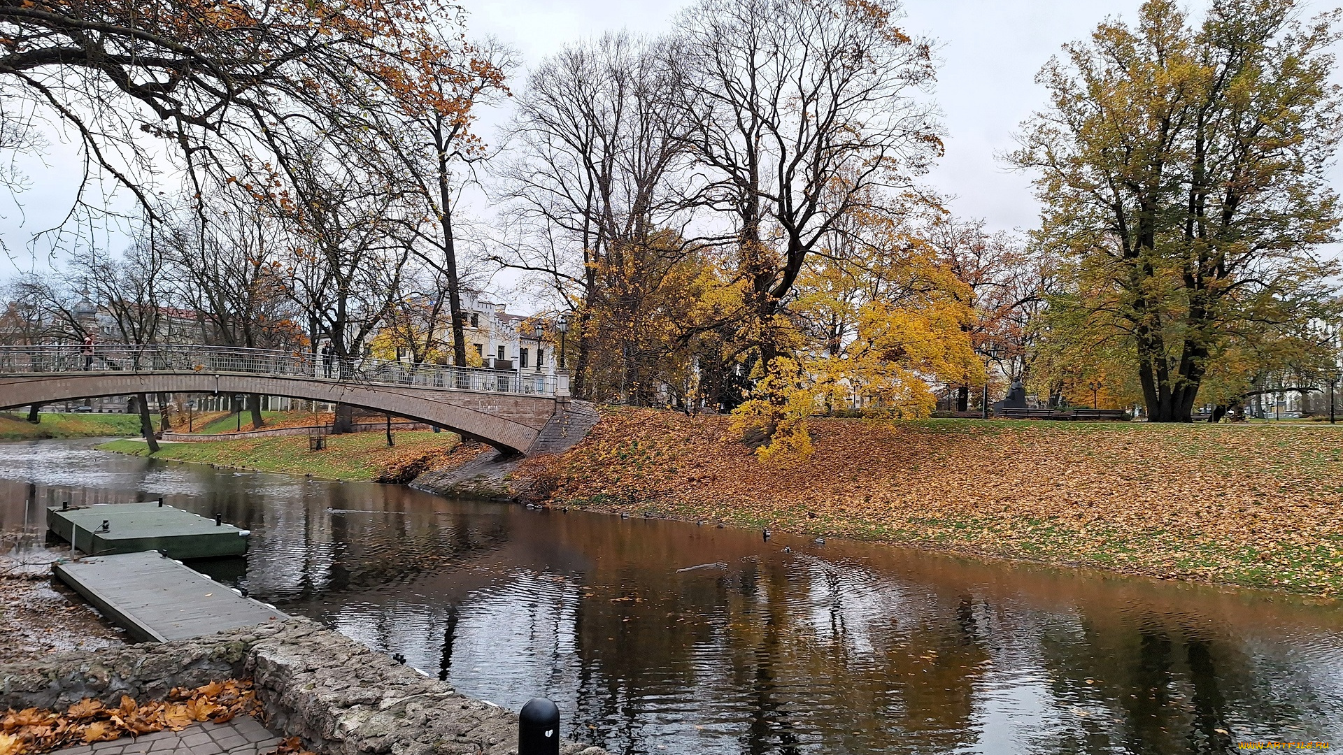 города, -, мосты, здания, деревья, осень, мост, река