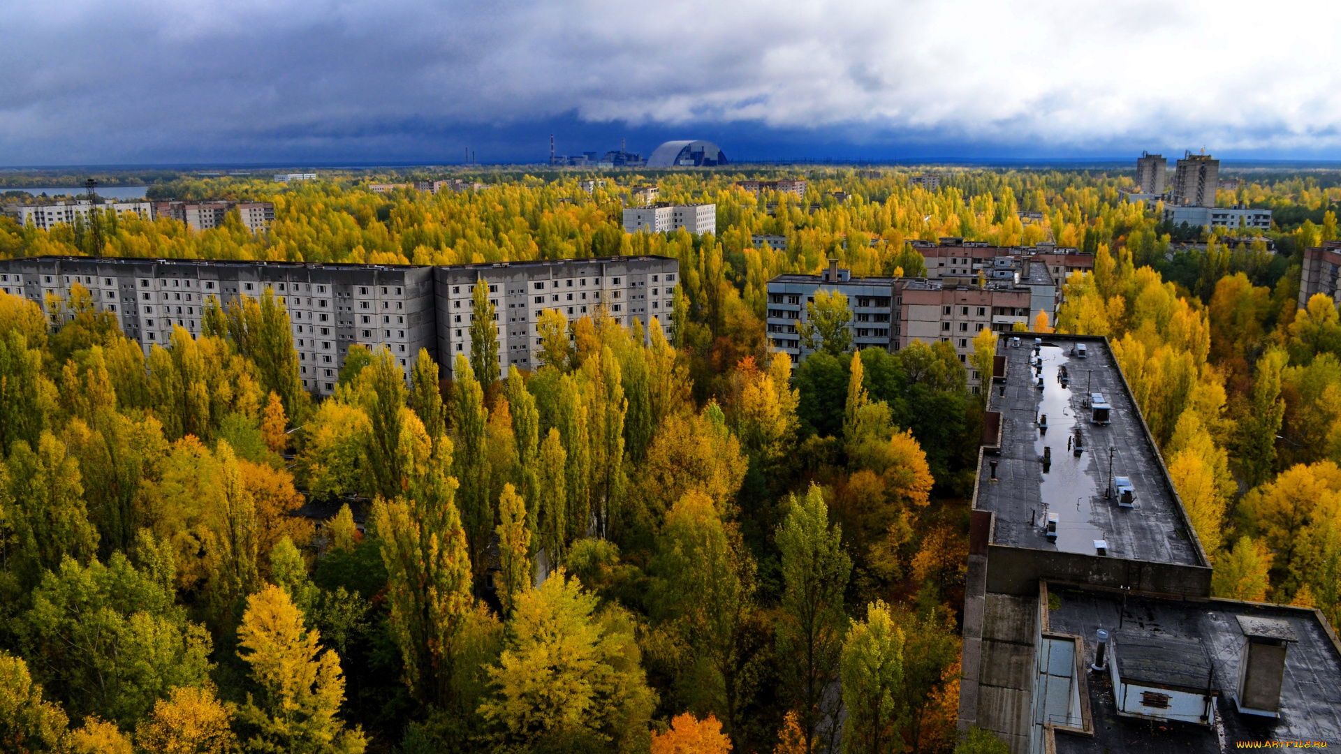 припять, города, -, панорамы, чернобыль, дома, лес, деревья, осень