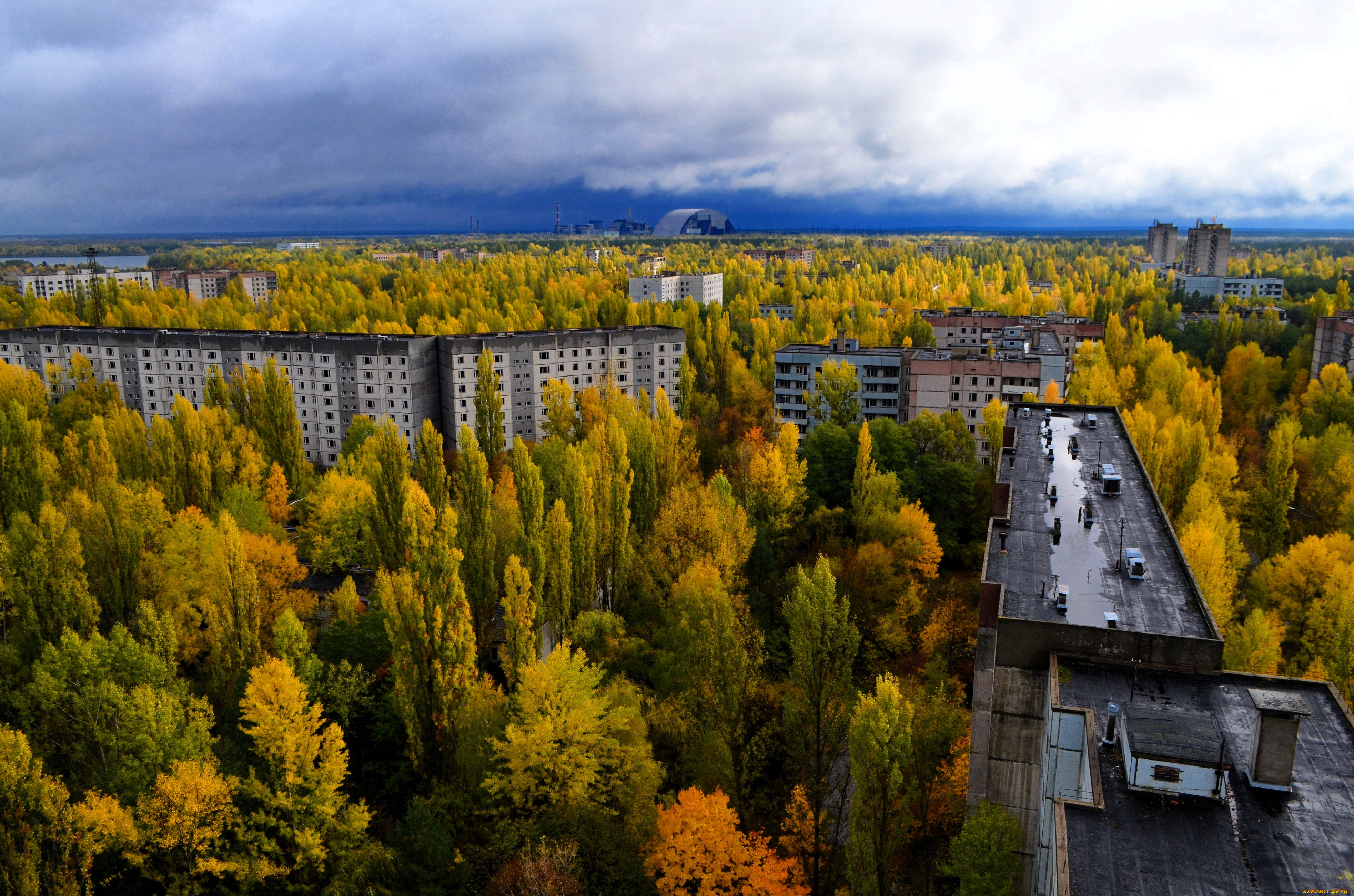 припять, города, -, панорамы, чернобыль, дома, лес, деревья, осень