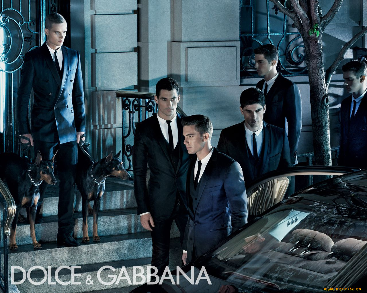 бренды, dolce, gabbana