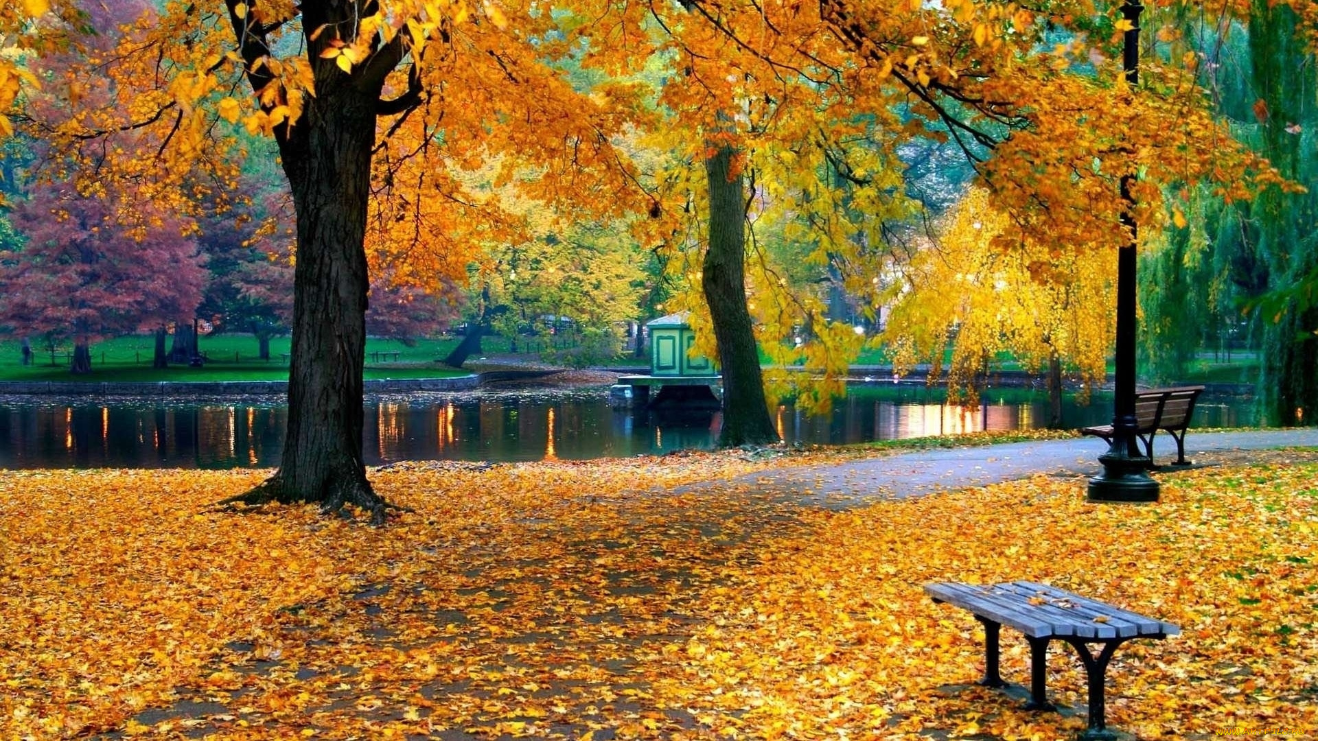 природа, парк, осень, скамейка, деревья