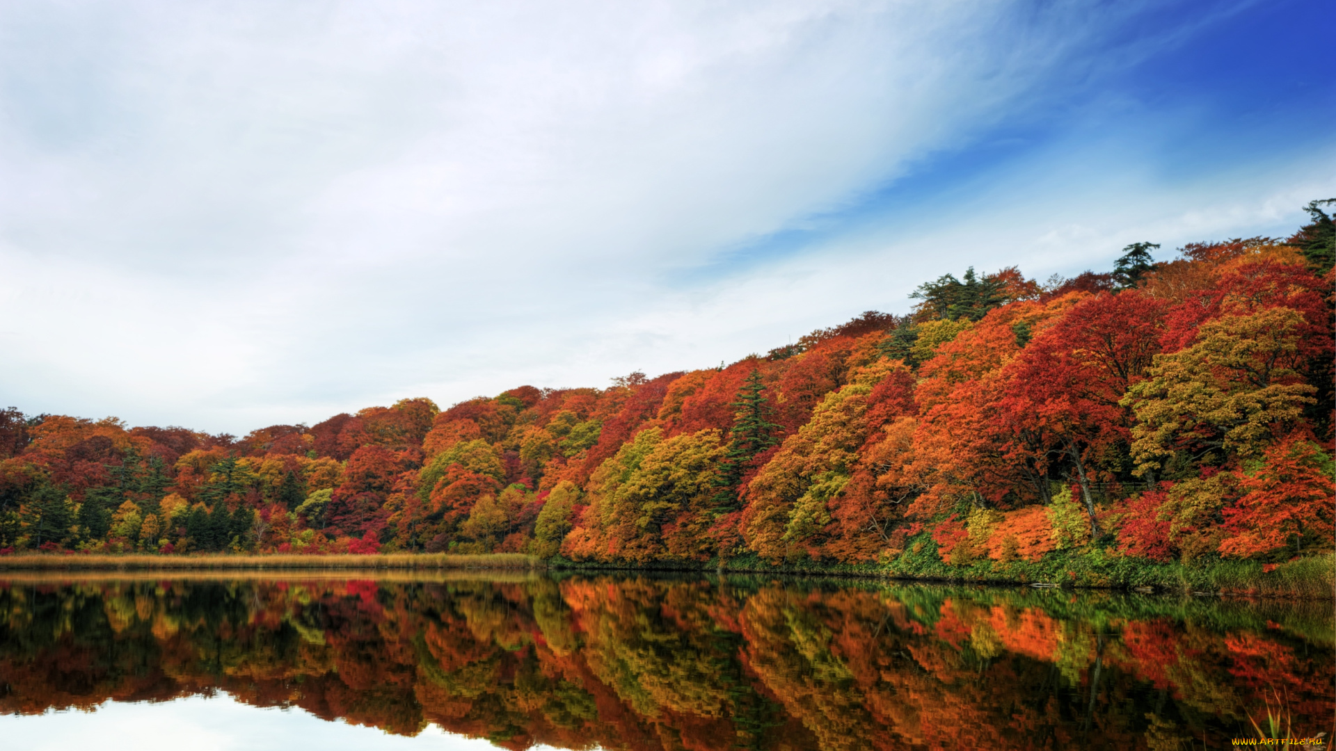 природа, реки, озера, осень, лес, вода, отражение