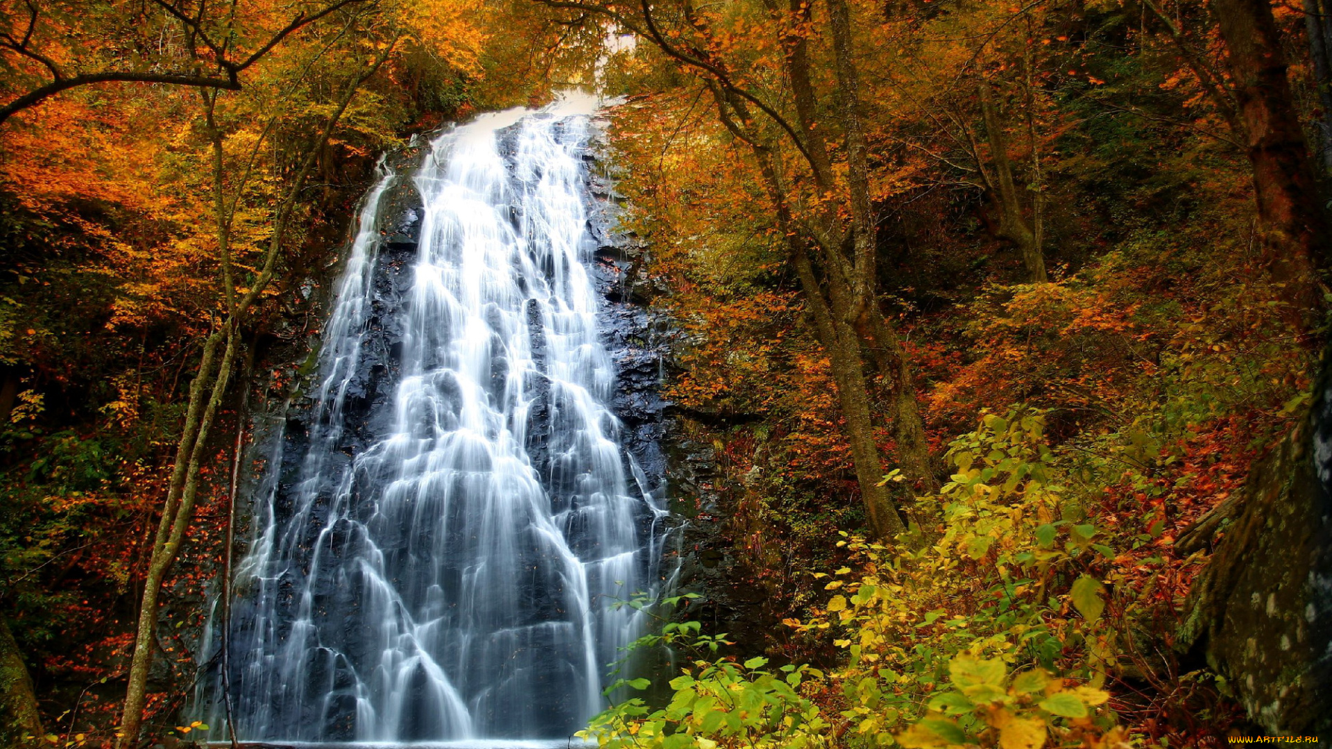 природа, водопады, водопад, осень