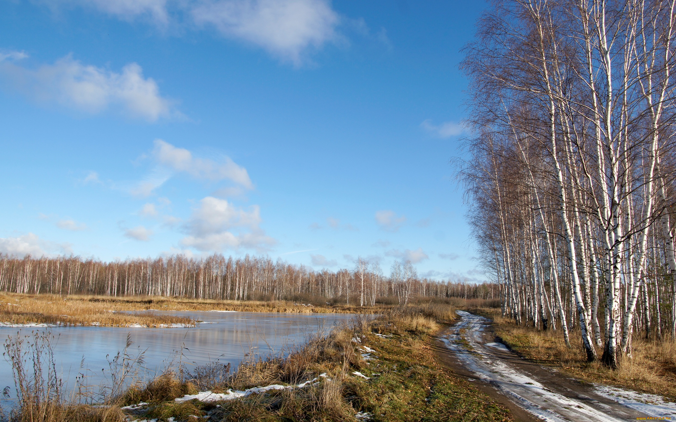 природа, дороги, облака, небо, берёзы, пруд, лёд, снег, зима, деревья, опушка, лес, дорога