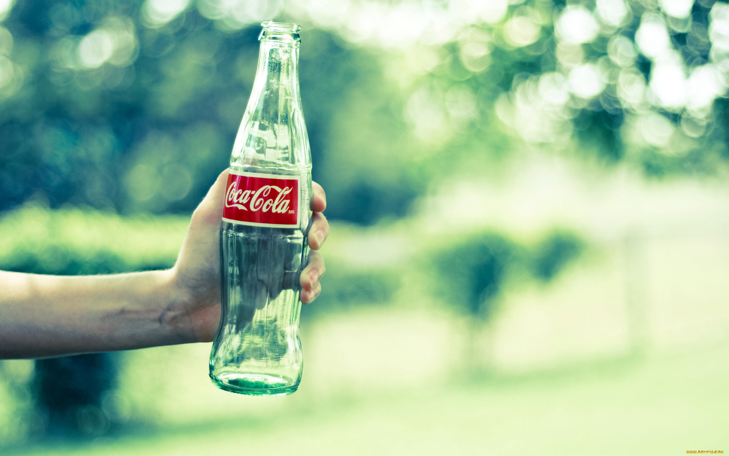 пустая, бутылка, бренды, coca, cola, рука, coca-cola