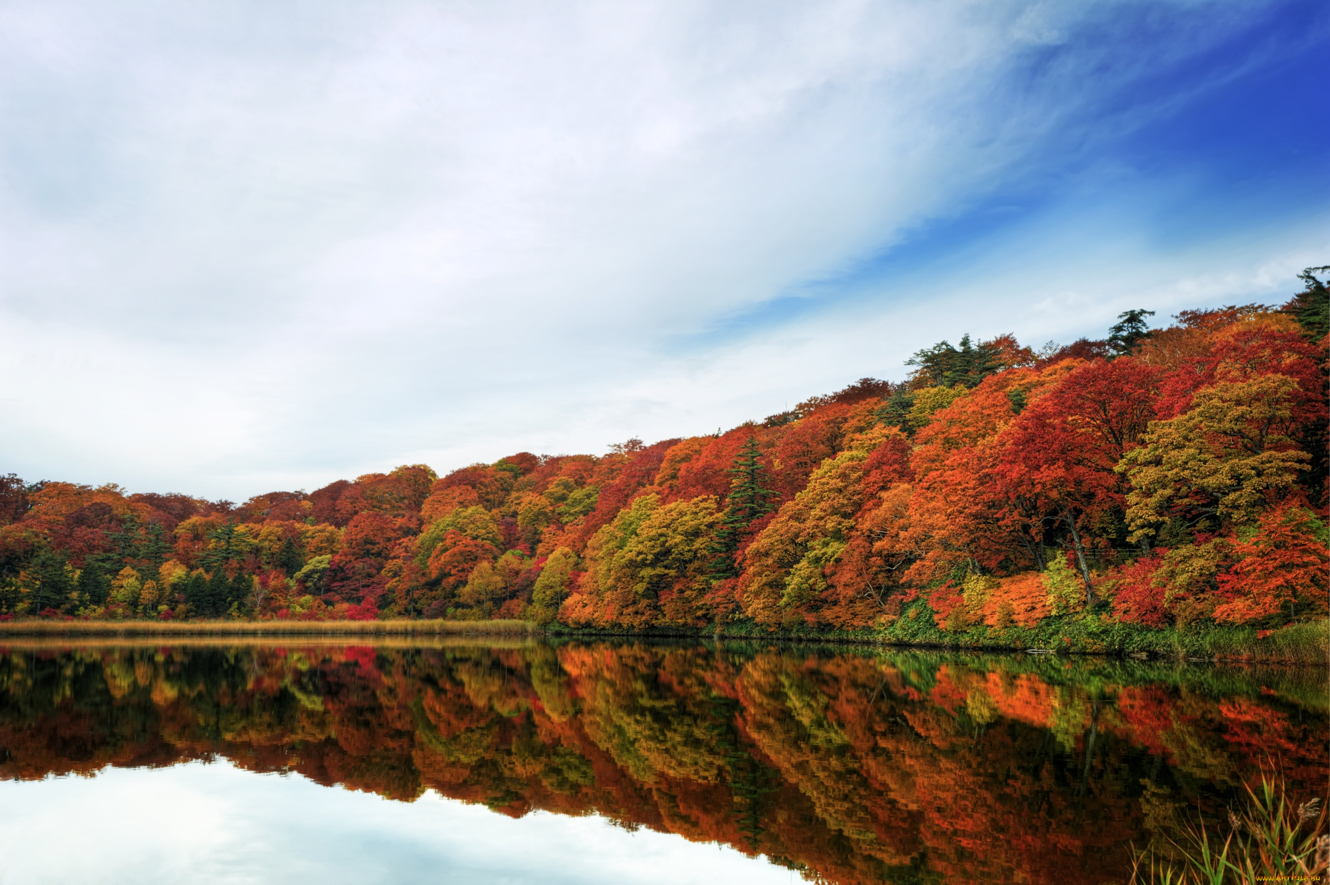 природа, реки, озера, осень, лес, вода, отражение