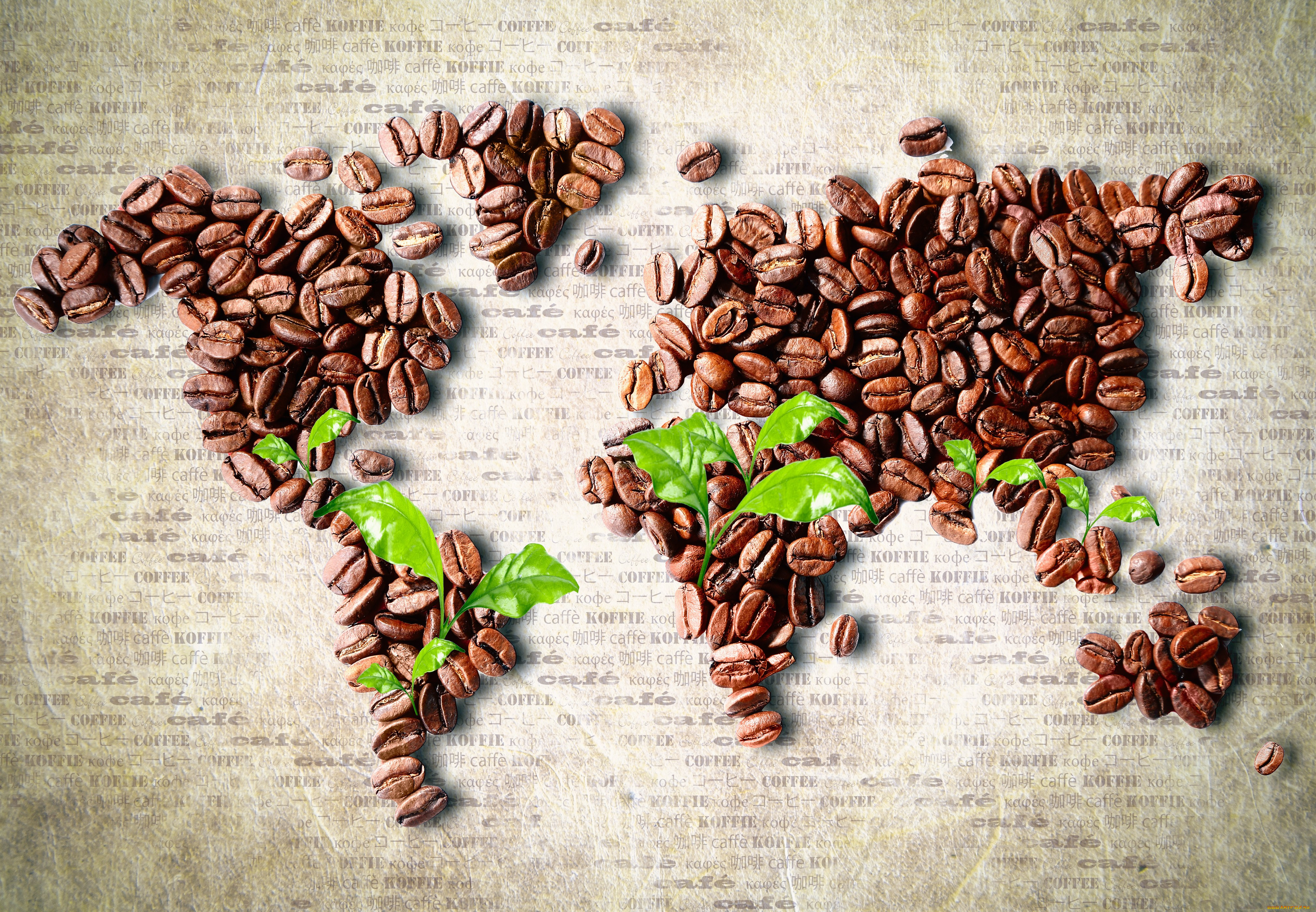 еда, кофе, кофейные, зёрна, африка, америка, евразия