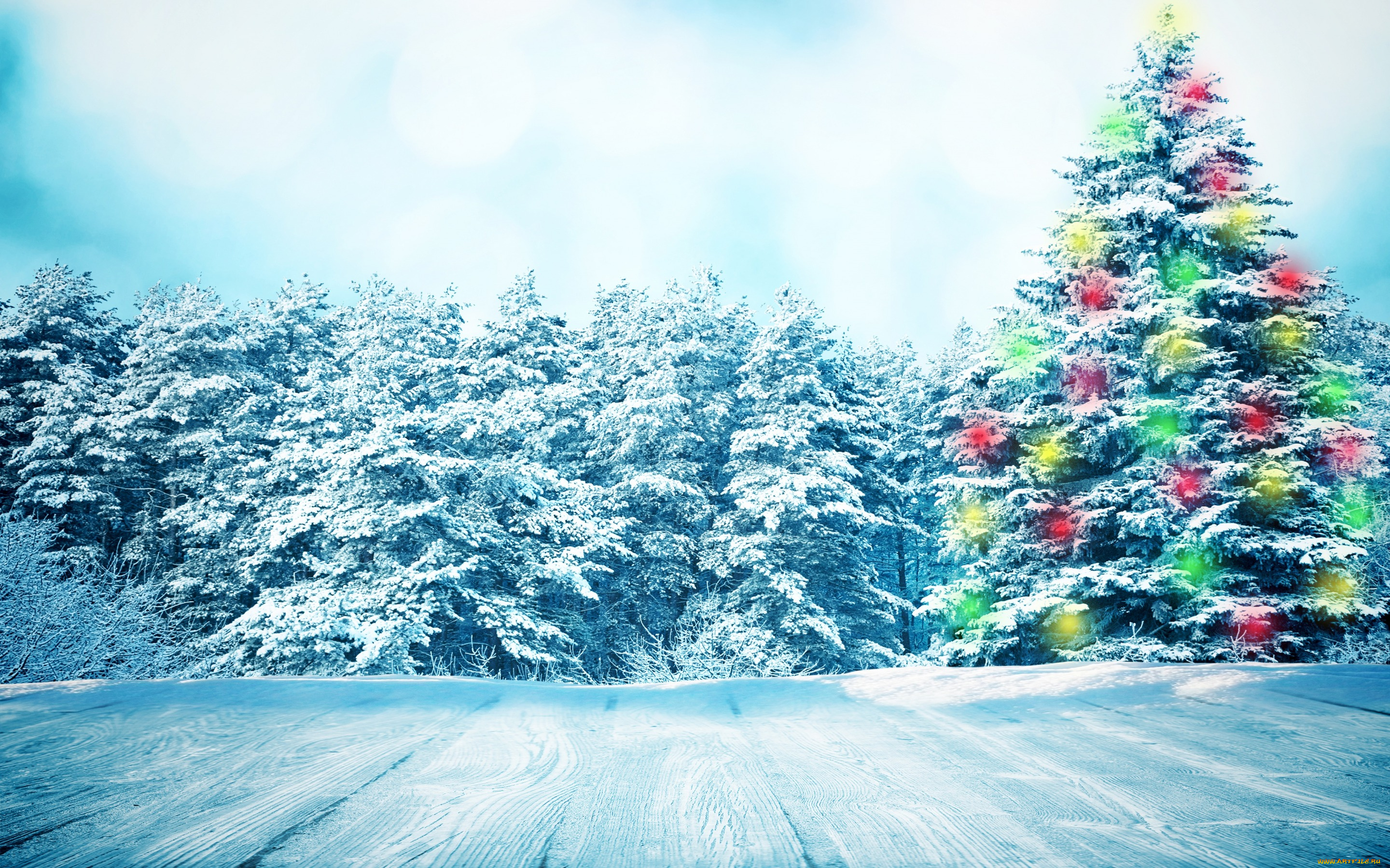 праздничные, Ёлки, nature, снежинки, зима, снег, елка, snow, winter, лес