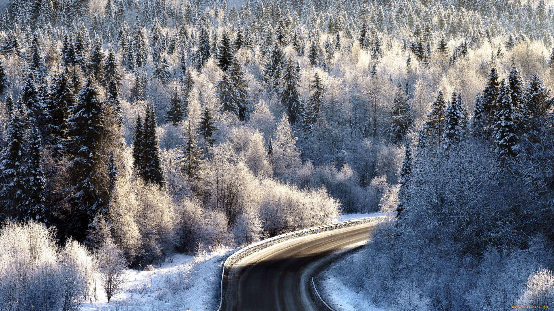 природа, дороги, шоссе, дорога, зима