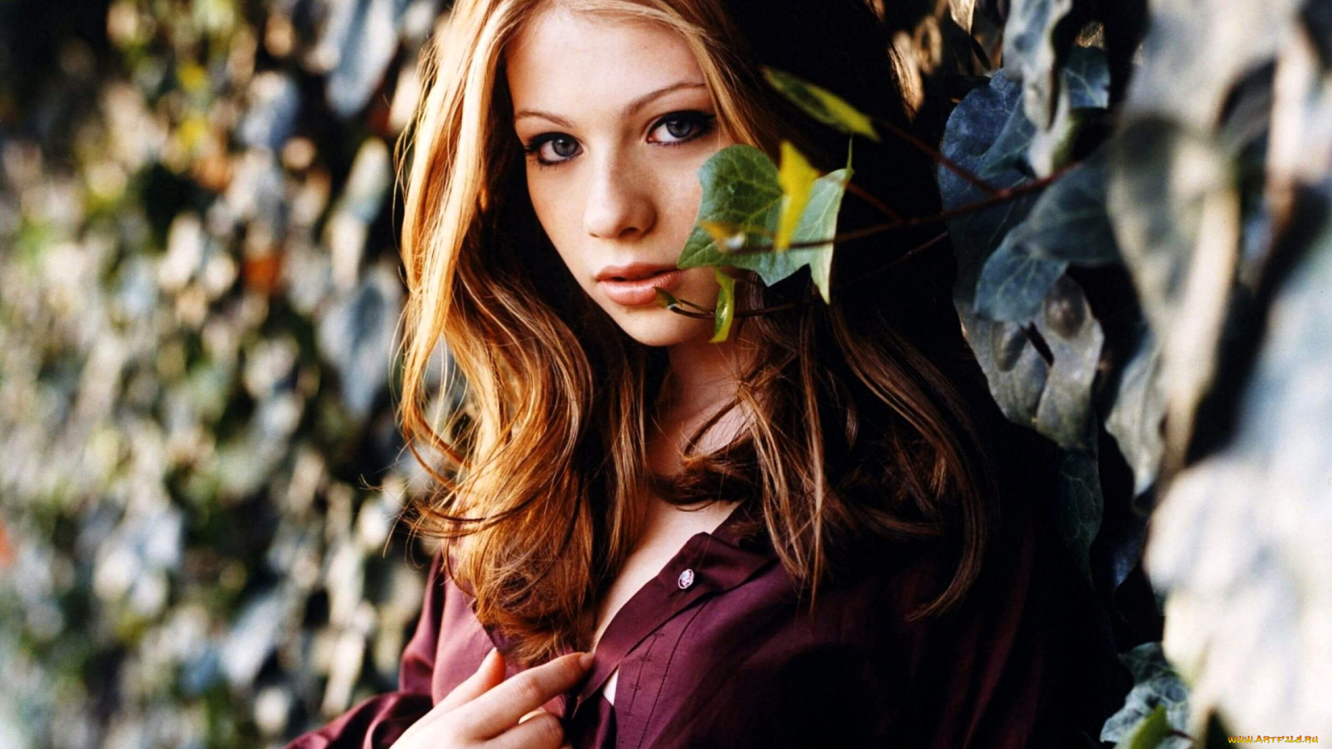 девушки, michelle, trachtenberg, русая, лицо, рубашка, стена, растения