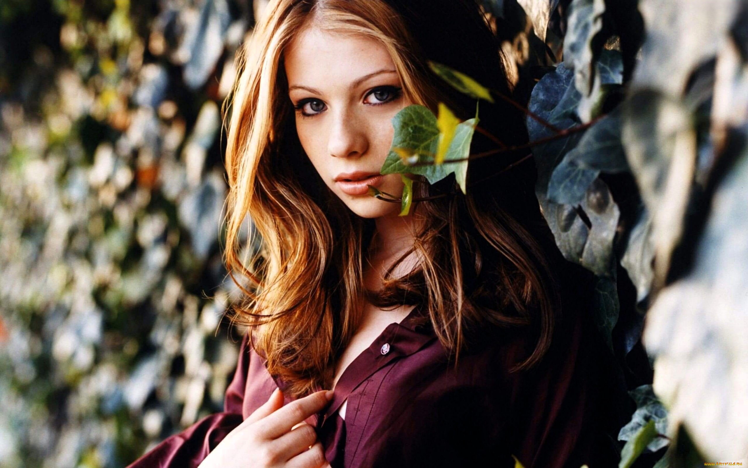 девушки, michelle, trachtenberg, русая, лицо, рубашка, стена, растения