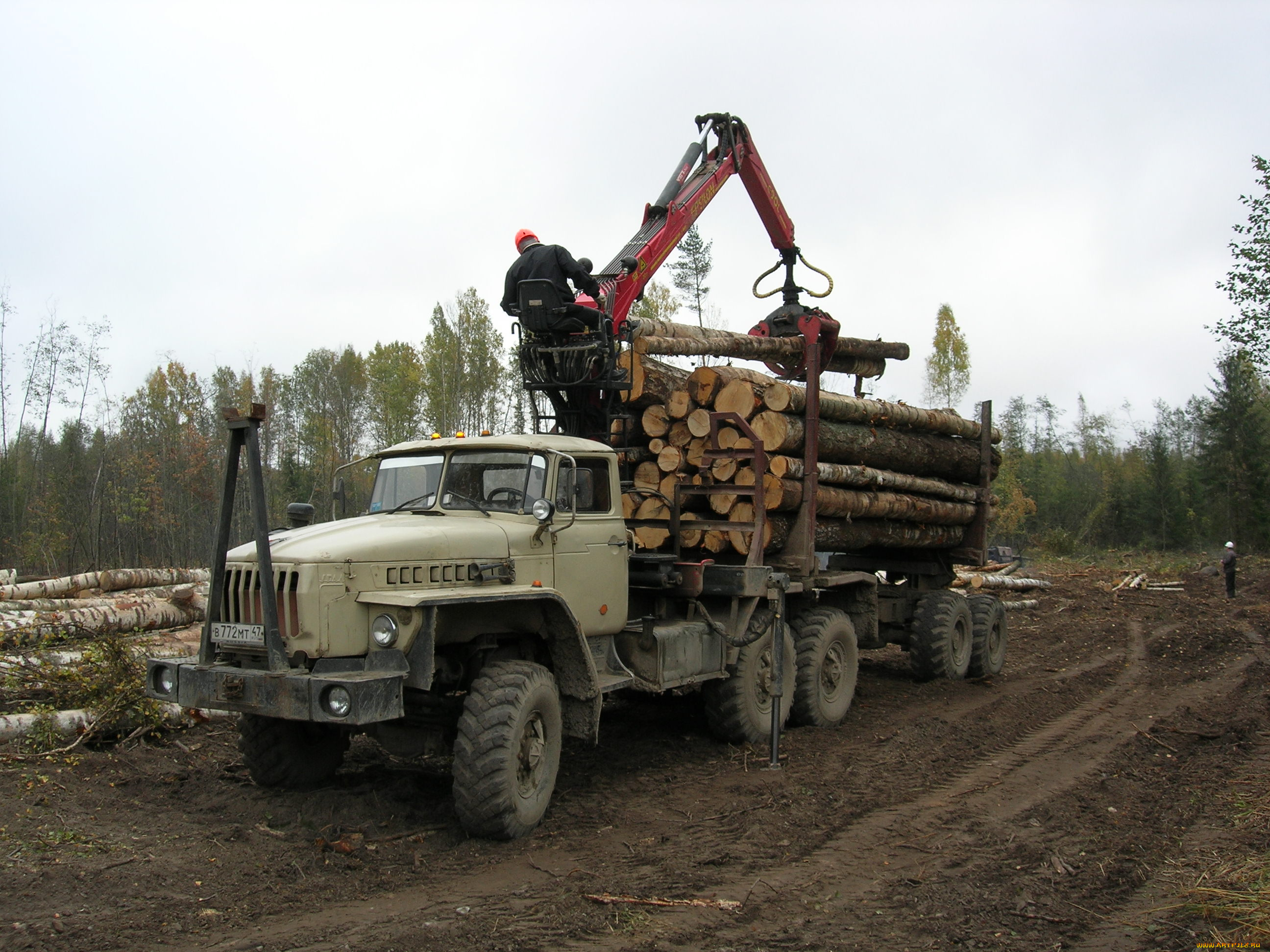 автомобили