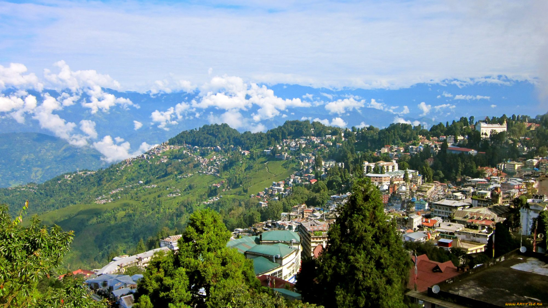 darjeeling, города, пейзажи, индия