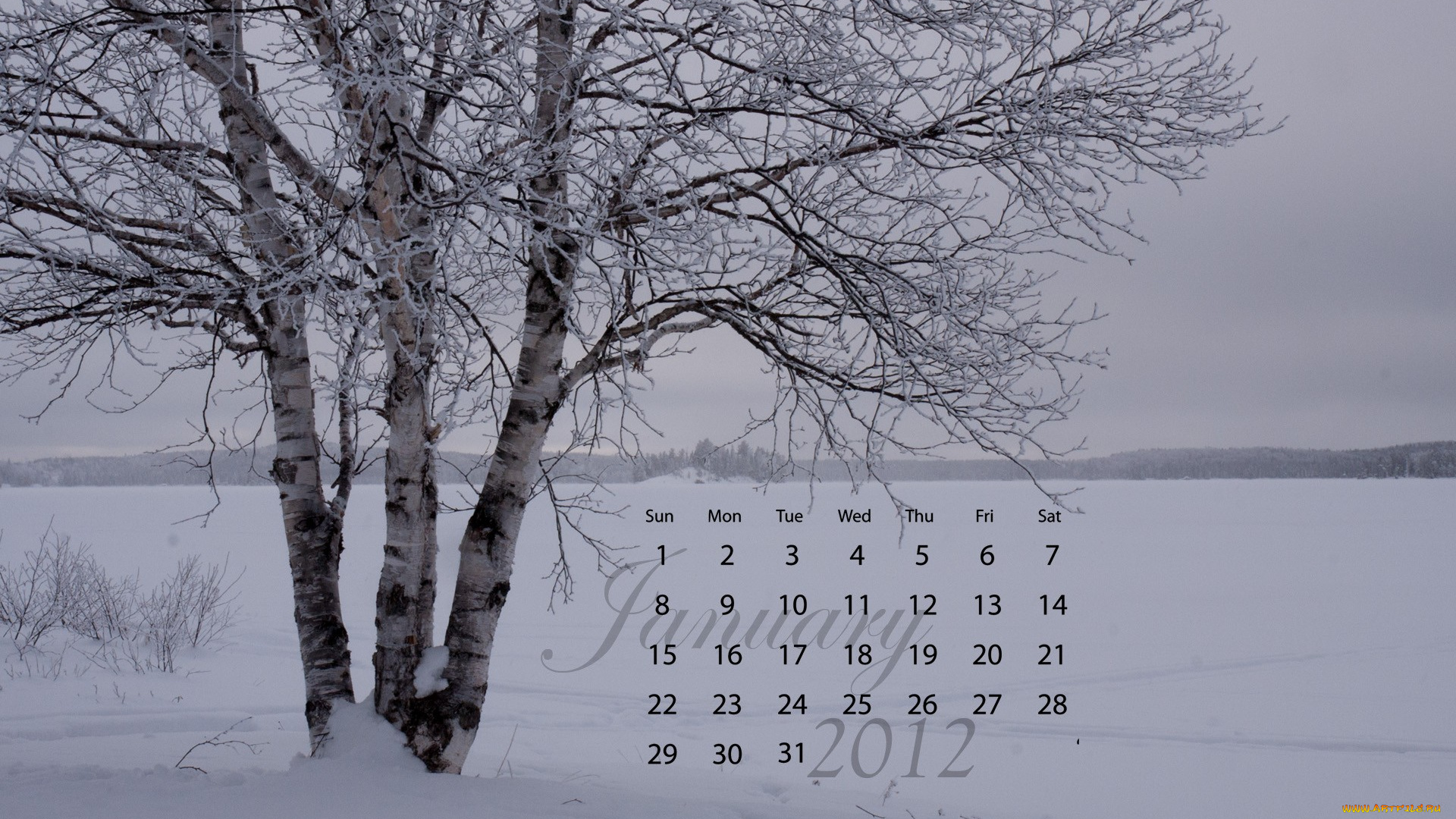 календари, природа, деревья, снег, зима