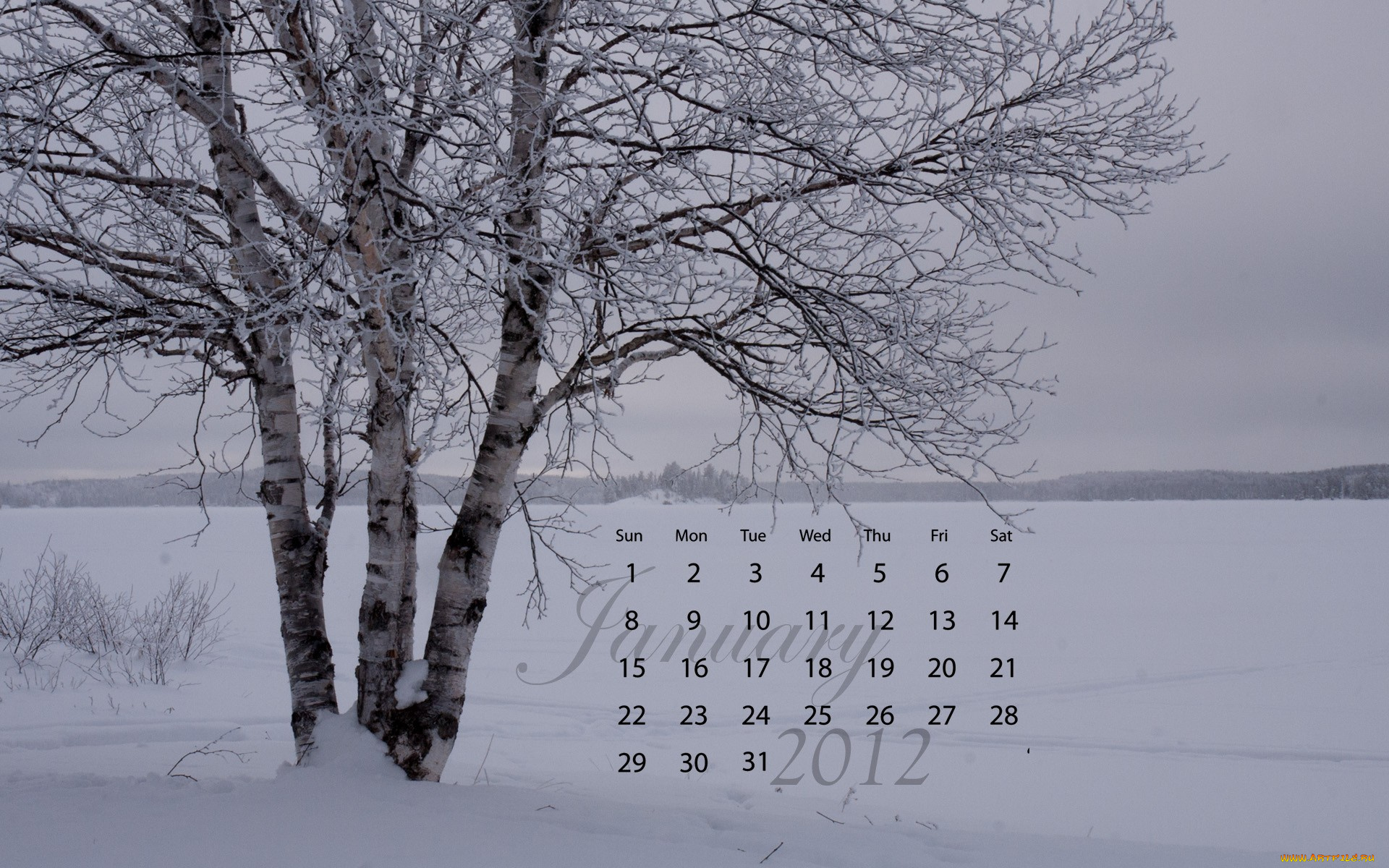 календари, природа, деревья, снег, зима