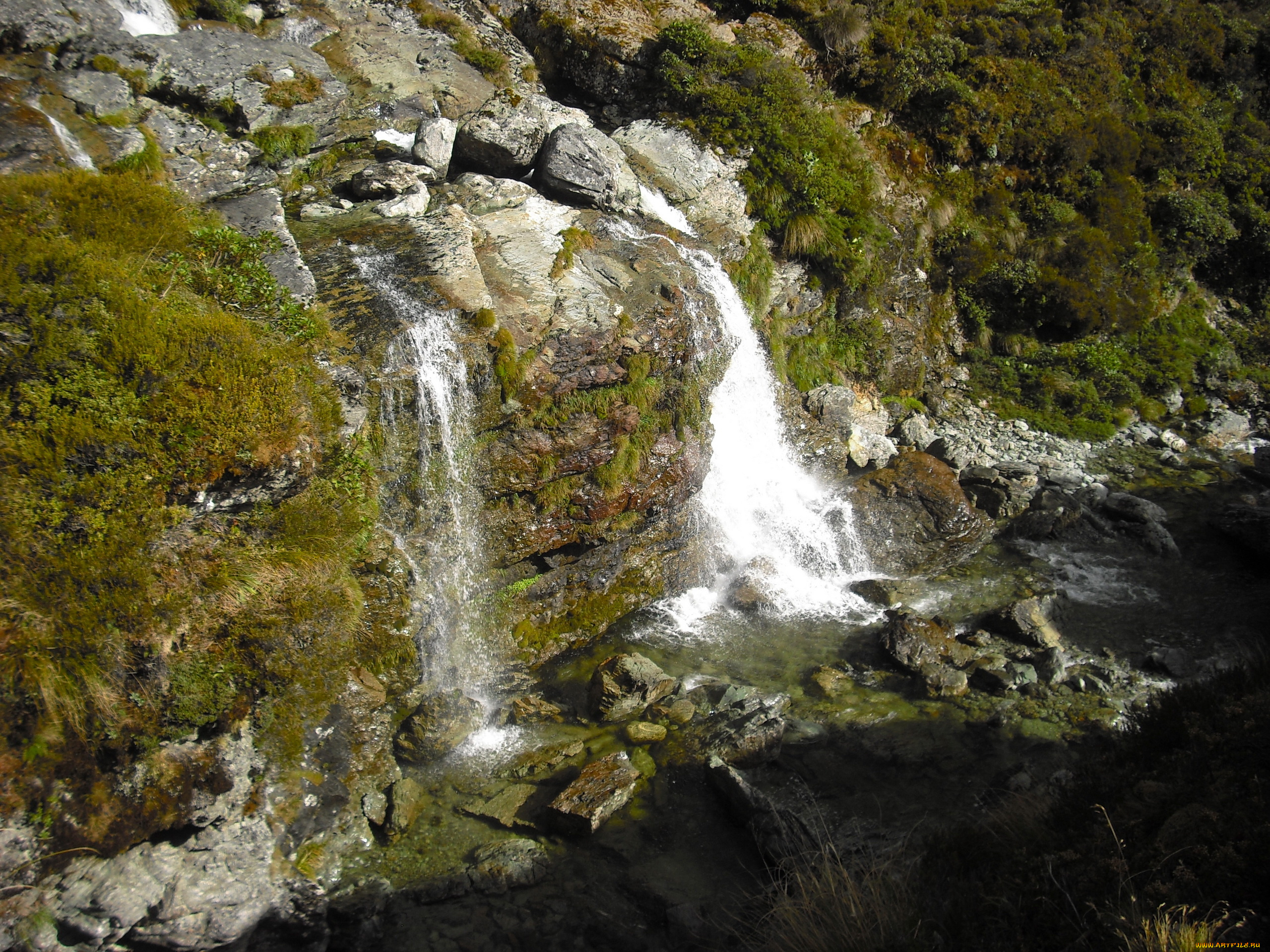 новая, зеландия, природа, водопады, водопад