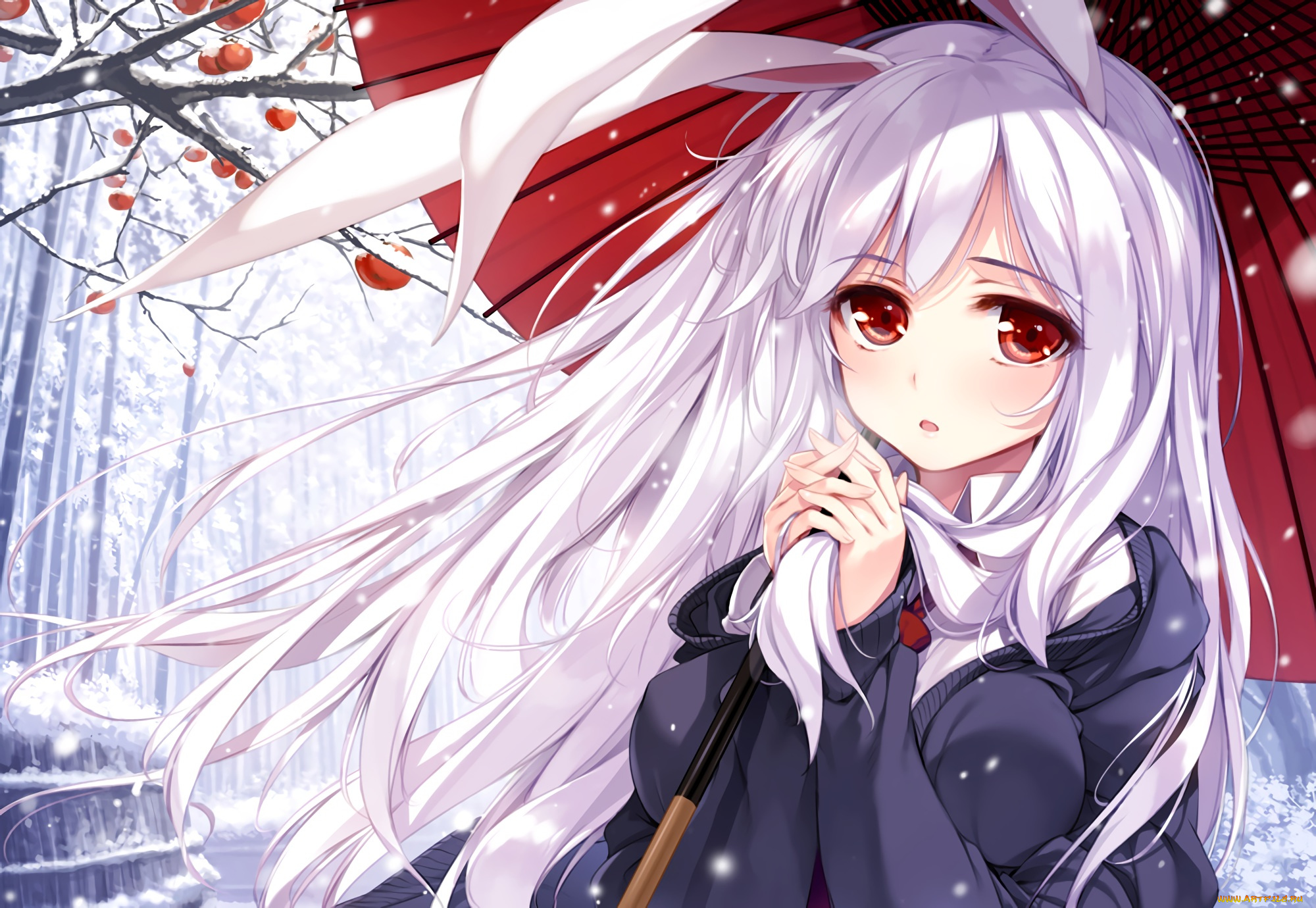 аниме, touhou, девочка, reisen, udongein, inaba, ke-ta, зонт, ягоды, зима