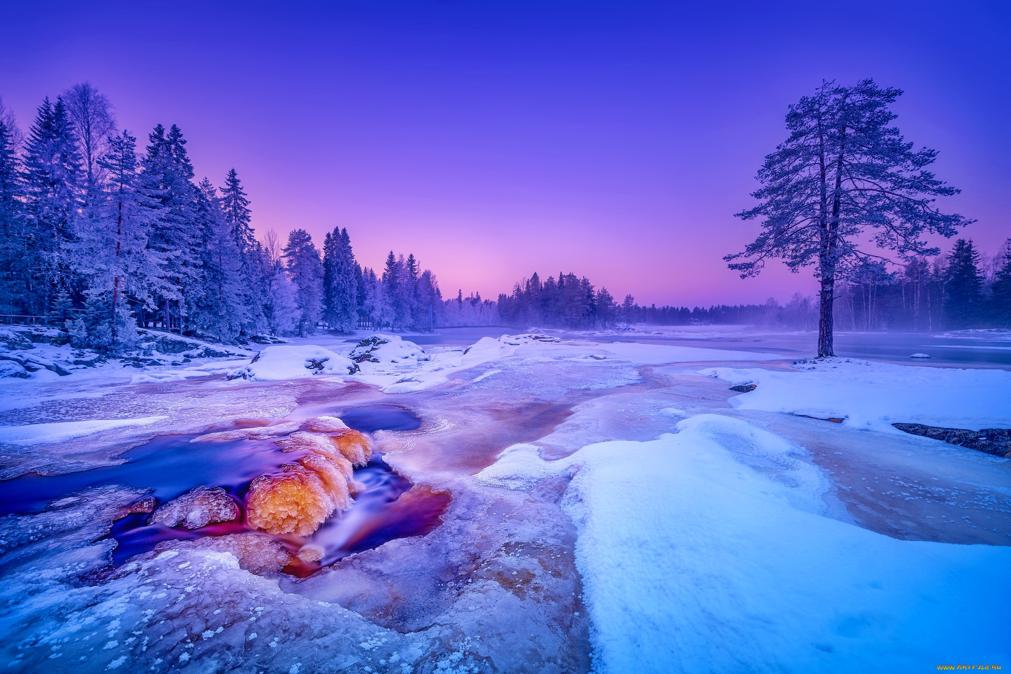 Beginning of winter. Зимний пейзаж. Зима лес река. Финляндия зимой. Финляндия природа зимой.