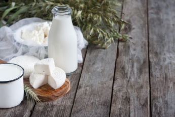 Картинка еда масло +молочные+продукты молочные продукты сыр творог молоко dairy products cheese cottage milk