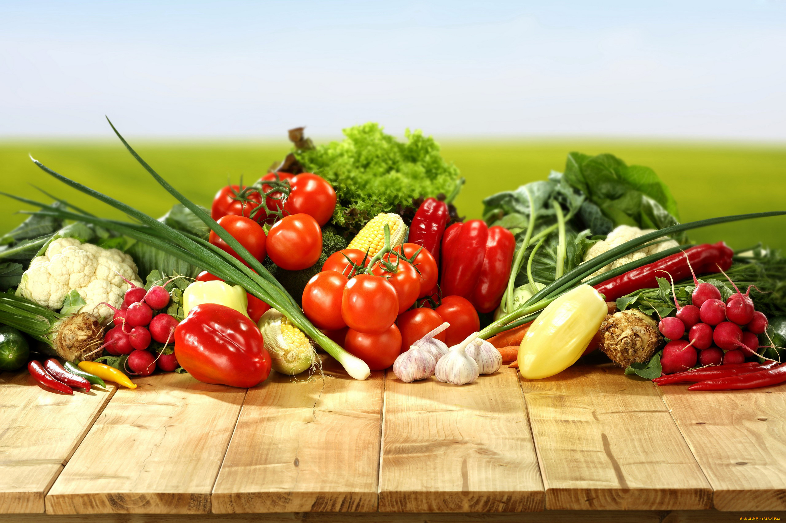 еда, овощи, перец, кукуруза, редис, кольраби, капуста, помидоры, лук, томаты