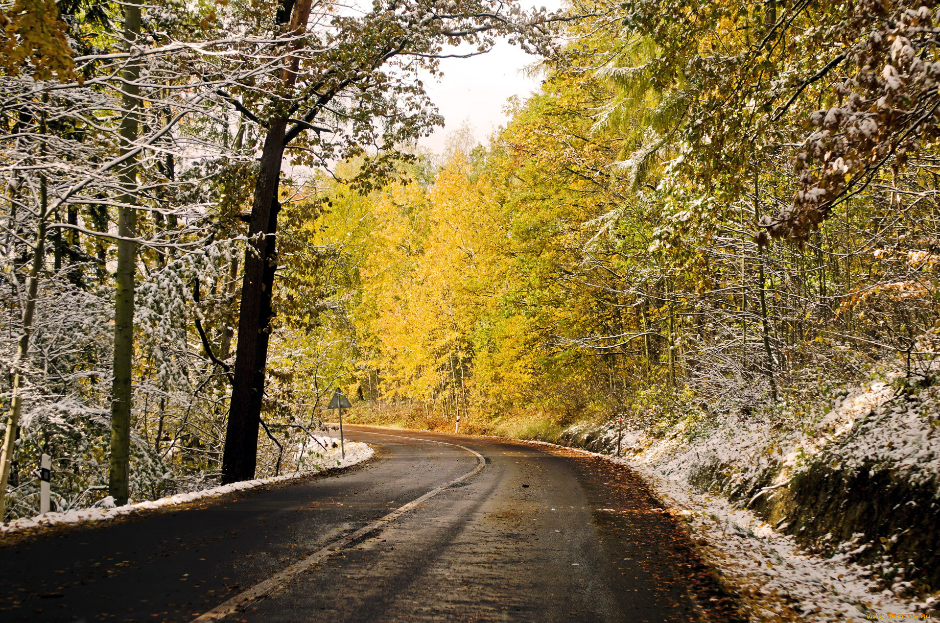 природа, дороги, шоссе, снег