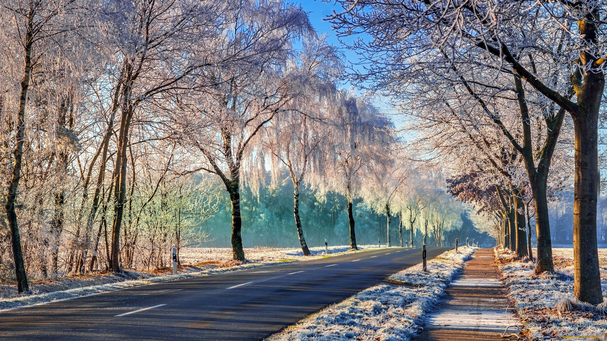 природа, дороги, зима, шоссе