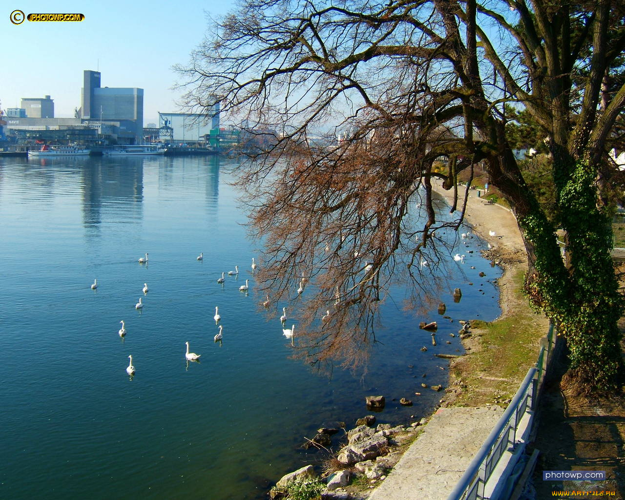 basel, switzerland, города, пейзажи