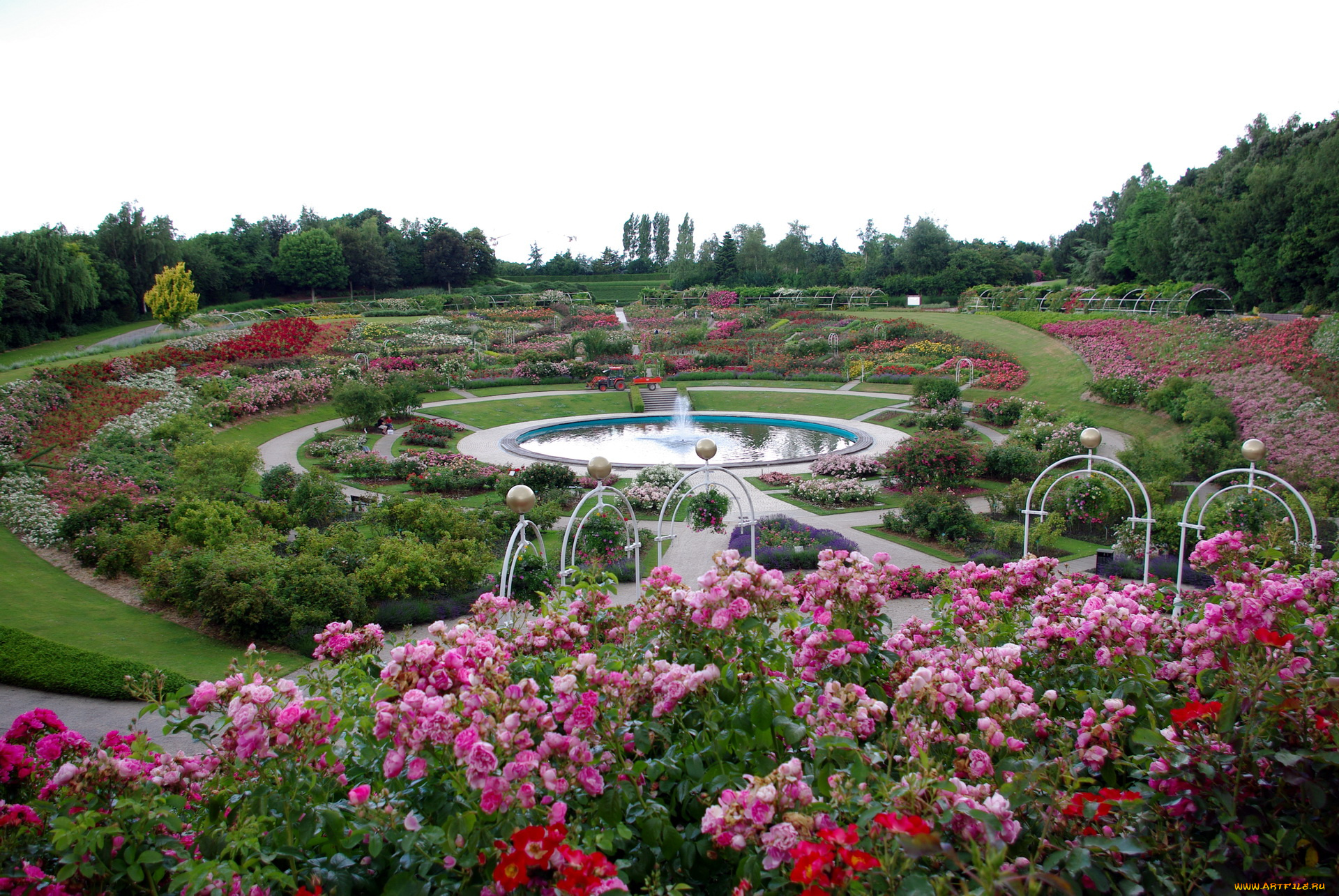 природа, парк, фонтан, клумбы, цветы