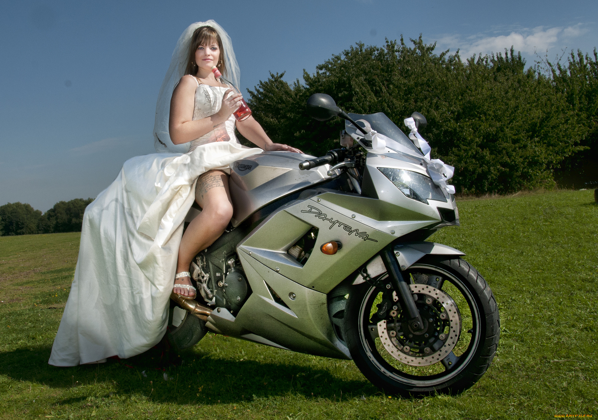мотоциклы, мото, с, девушкой, невеста, daytona