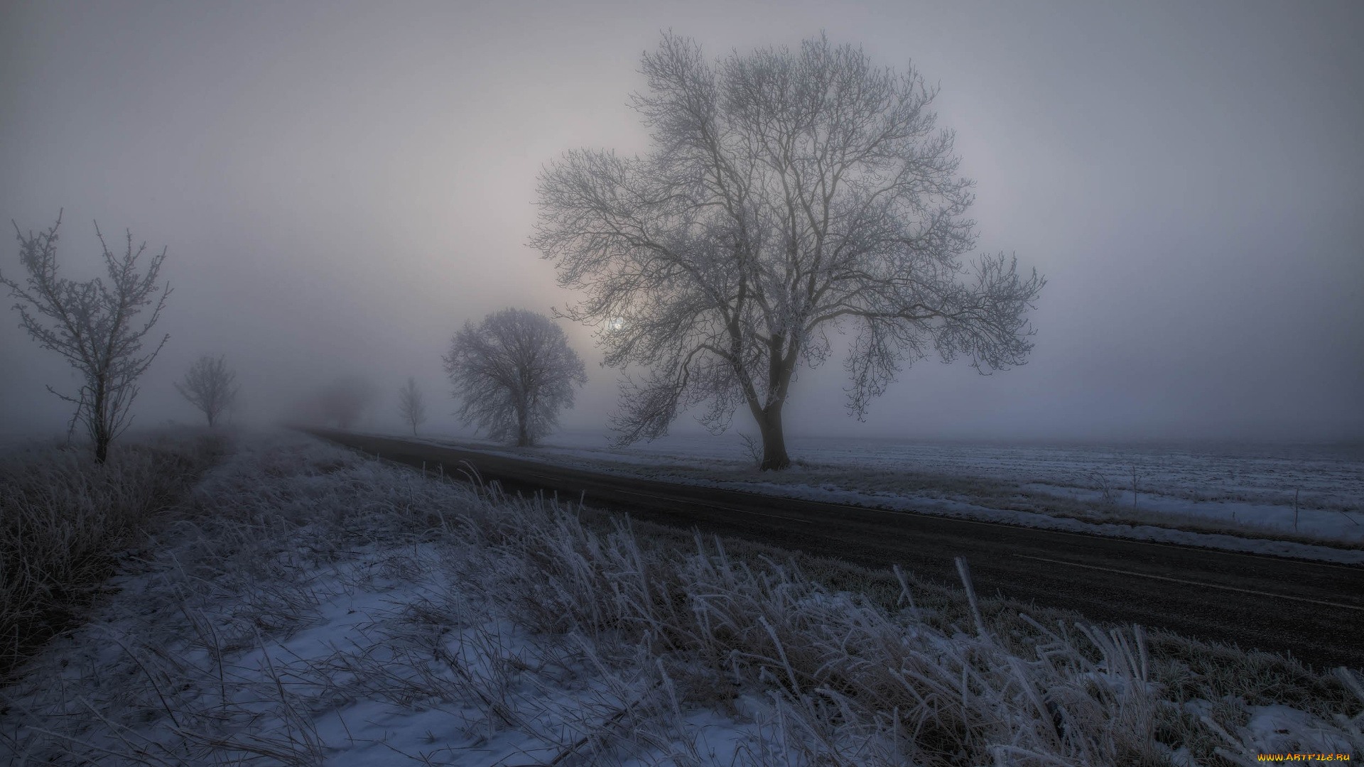 природа, дороги, деревья, туман, дорога, снег