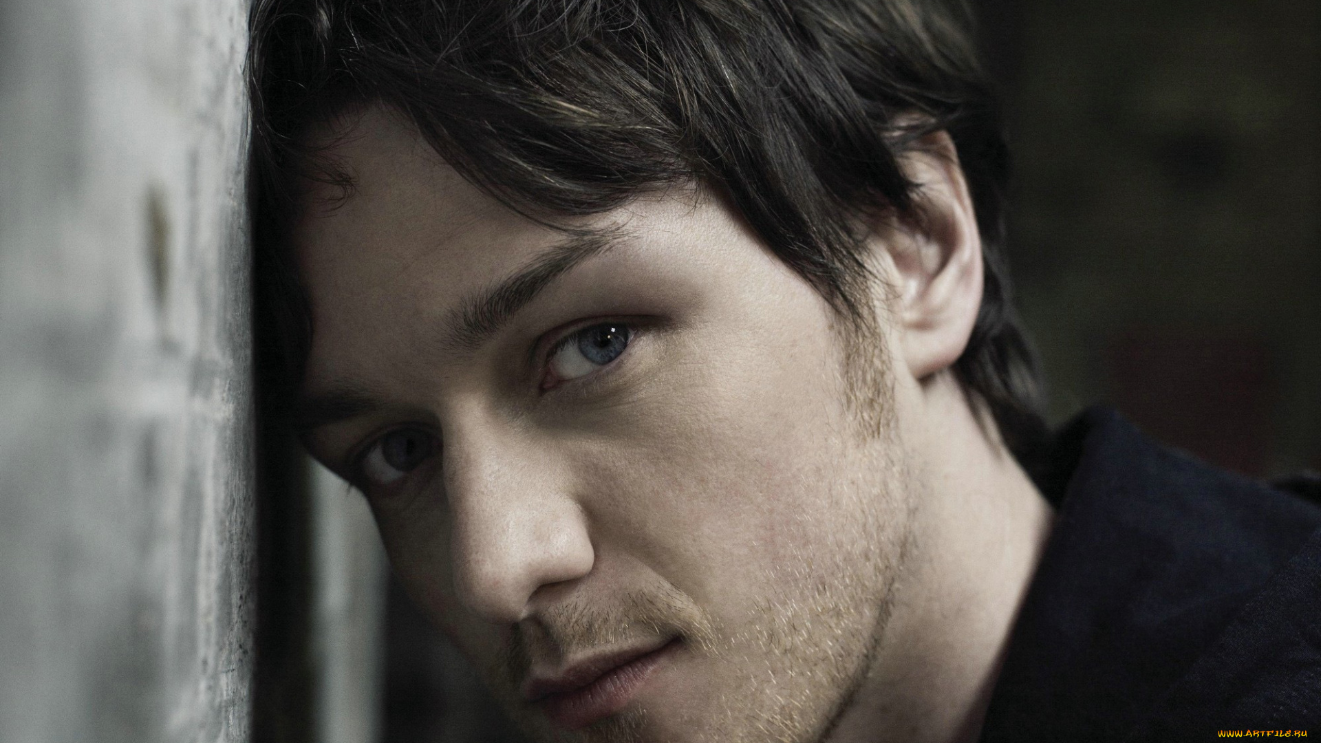 мужчины, james, mcavoy, james, mcavoy, актер, лицо, стена