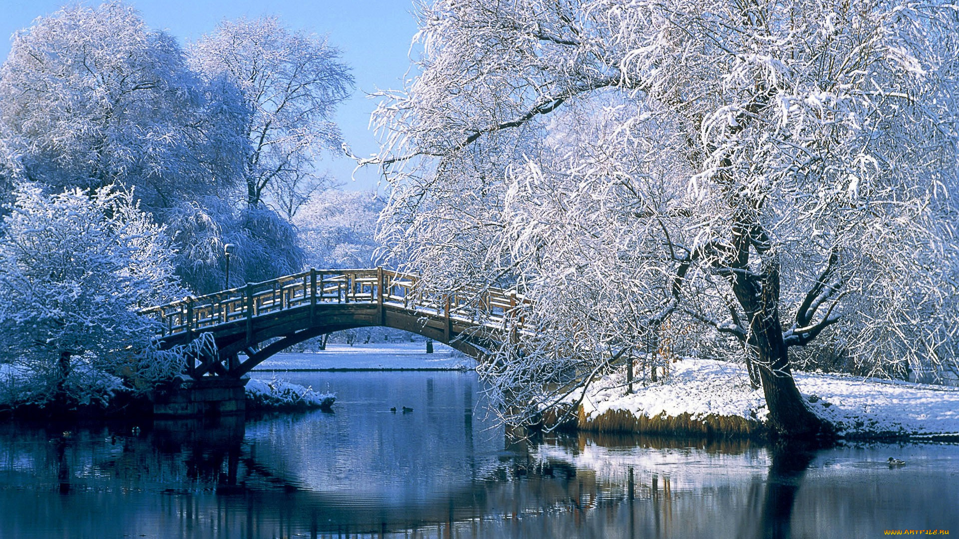 природа, реки, озера, снег, деревья, озеро, мост