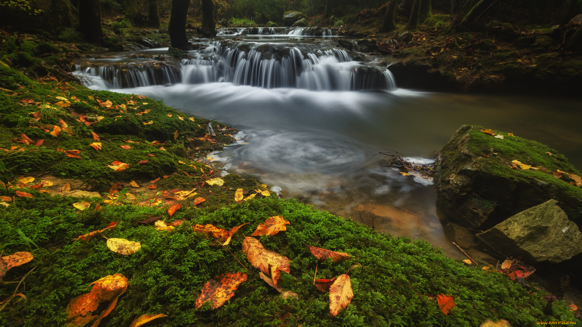 природа, водопады, осень, лес, листья, вода, камни, поток, речка, водоем, пороги