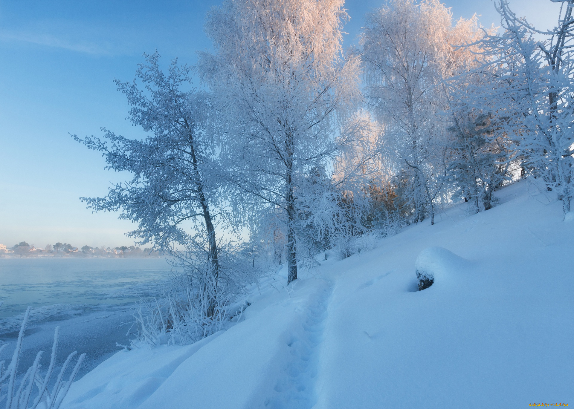 природа, зима, московская, область, дубна, тропинка, река, волга, россия, снег, сугробы, деревья