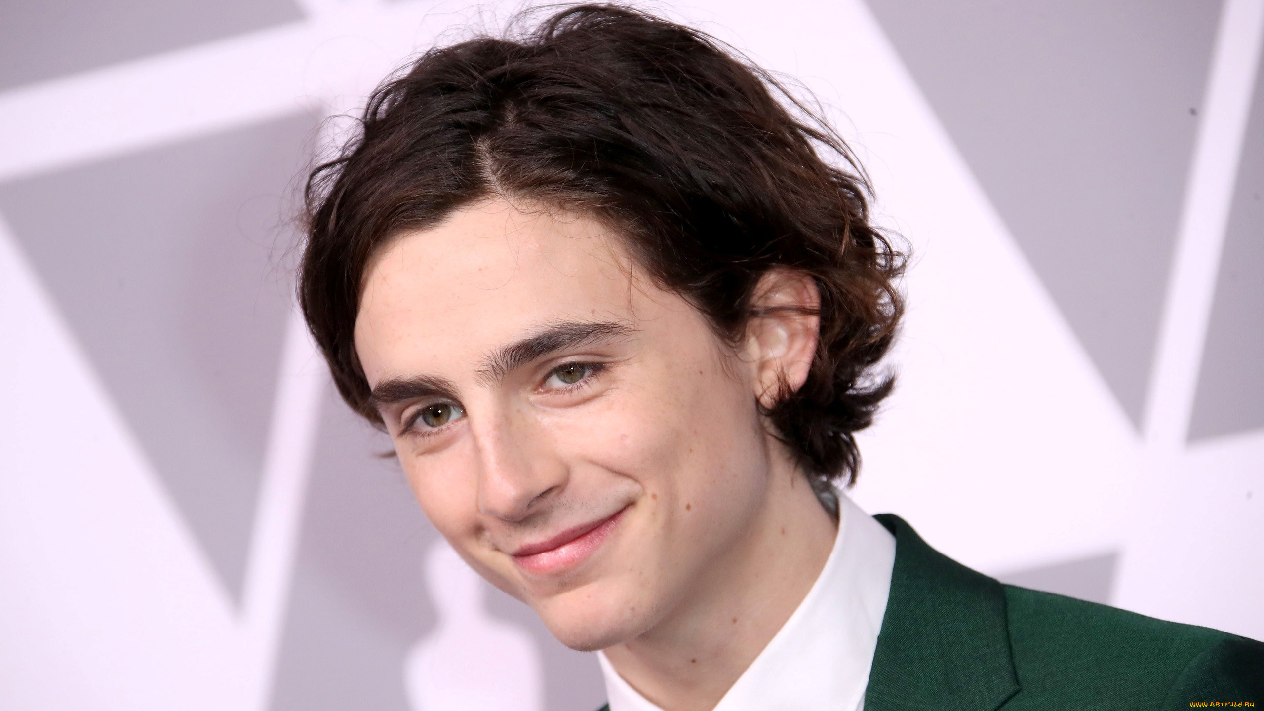 timothee, chalamet, мужчины, -, unsort, timothee, chalamet