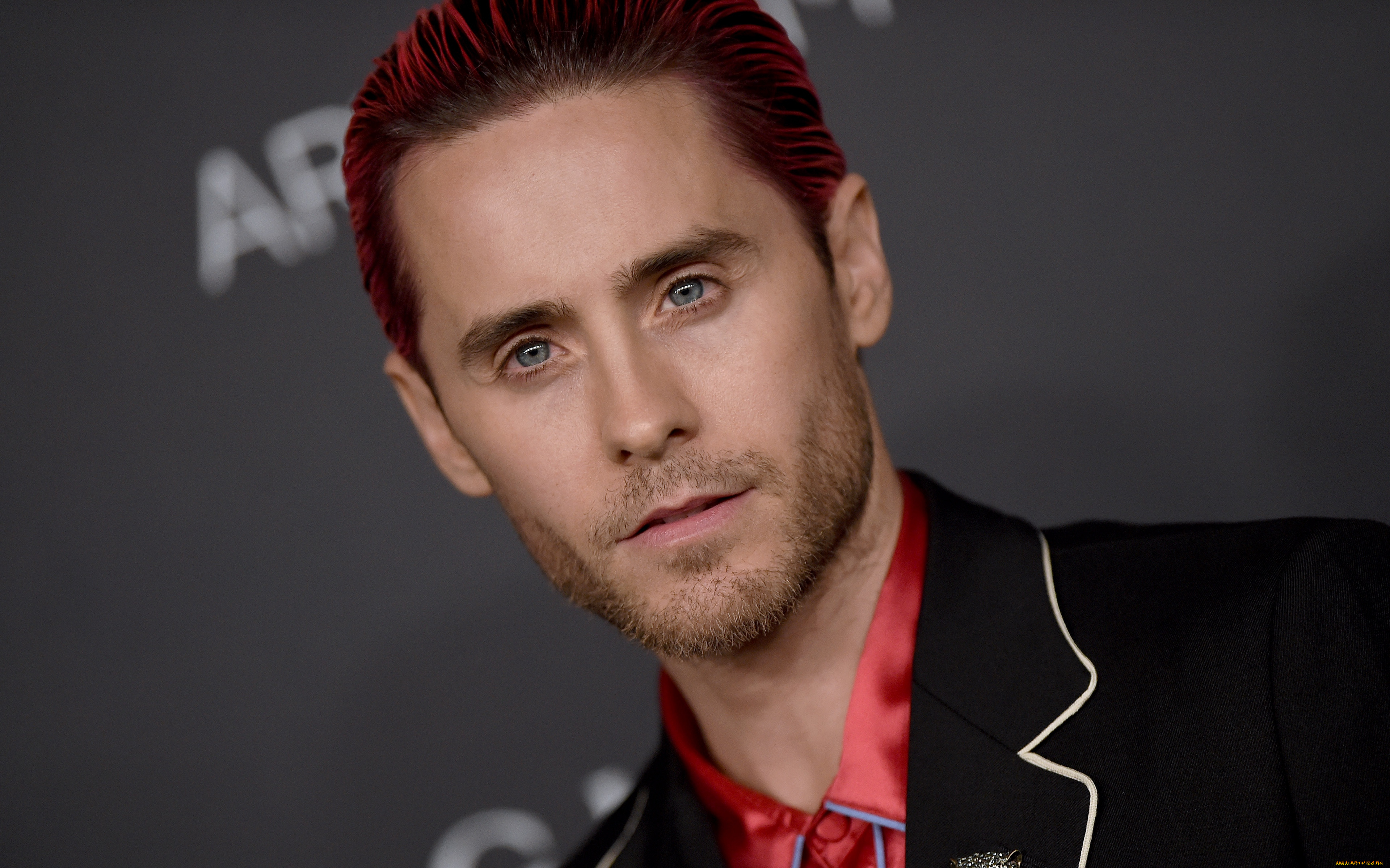 мужчины, jared, leto, лицо, щетина, певец, актер