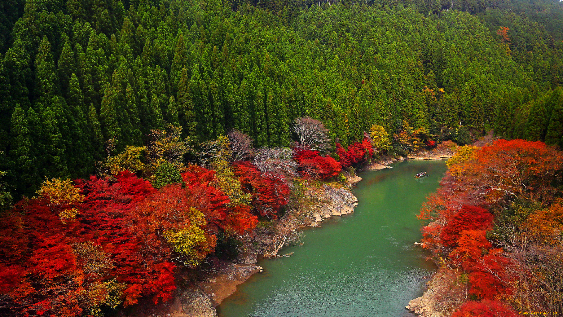 arashiyama, kyoto, japan, природа, реки, озера, лес, oi, river, Япония, река, деревья