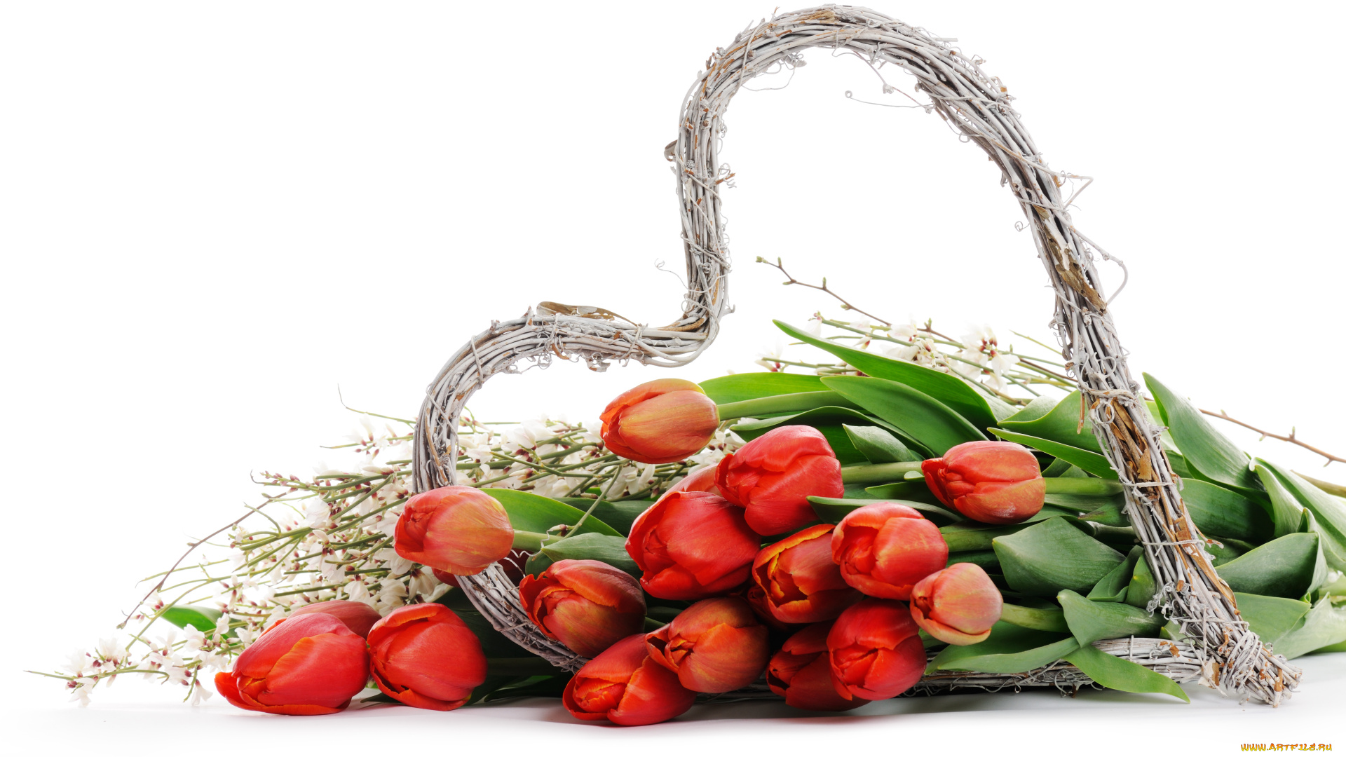 цветы, тюльпаны, сердце, бутоны