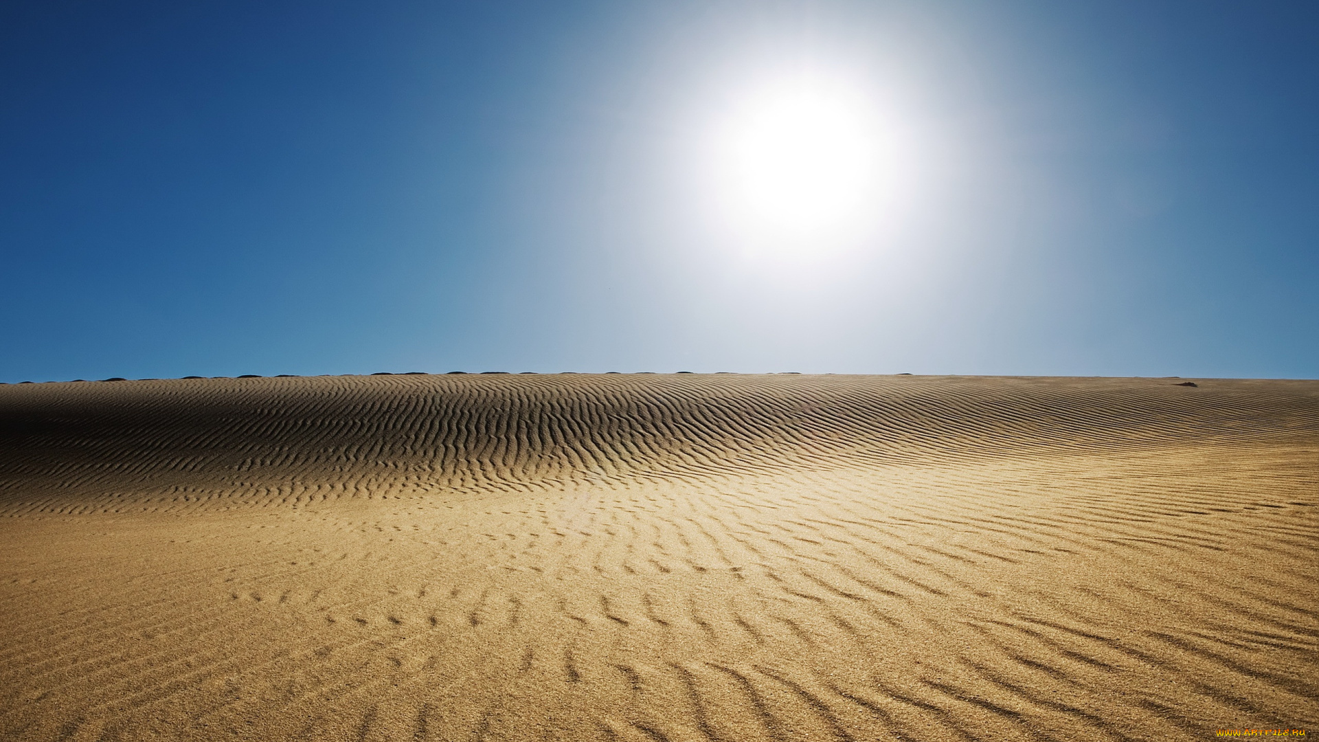 природа, пустыни, песок, пустыня, палящее, солнце