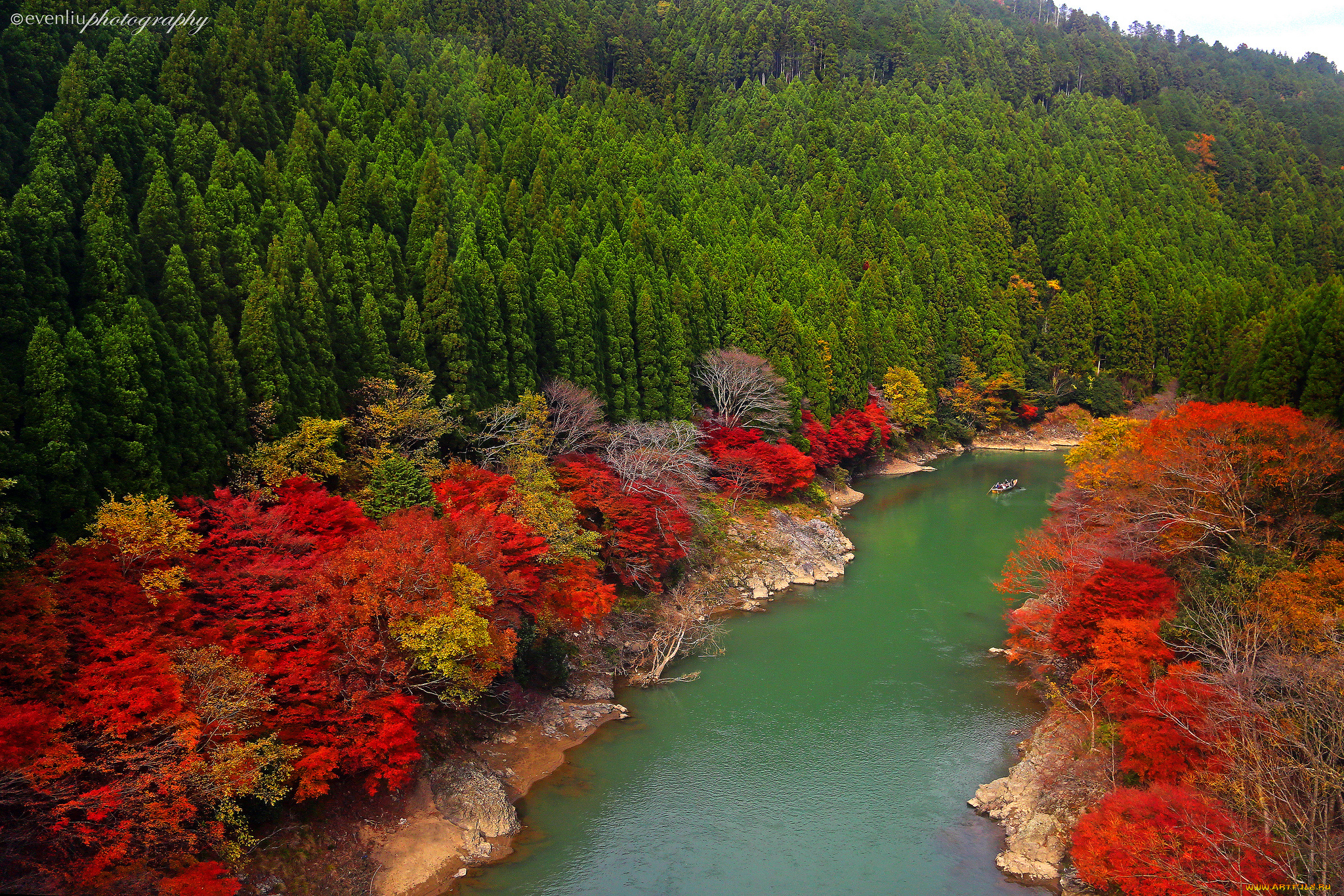 arashiyama, kyoto, japan, природа, реки, озера, лес, oi, river, Япония, река, деревья