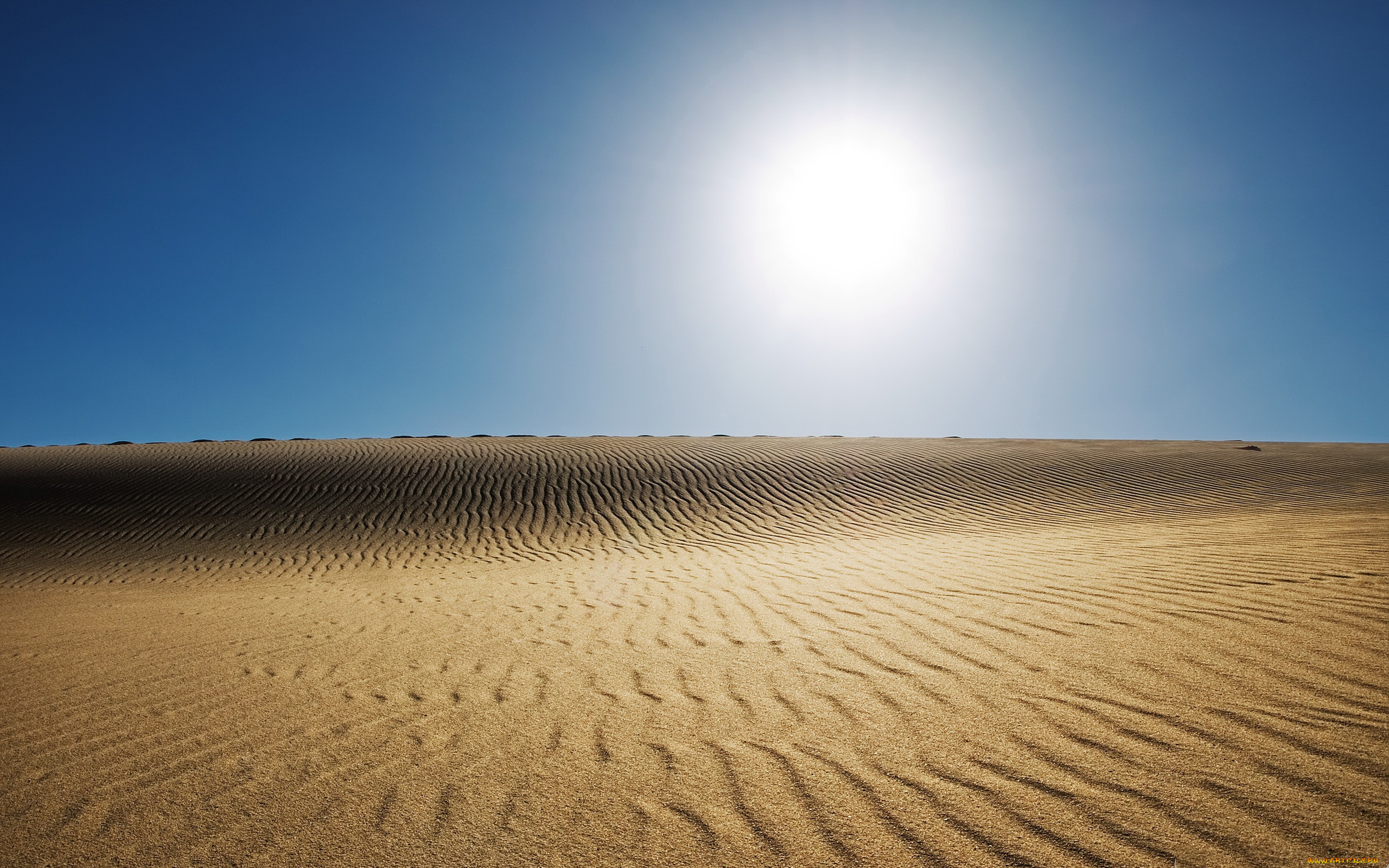 природа, пустыни, песок, пустыня, палящее, солнце