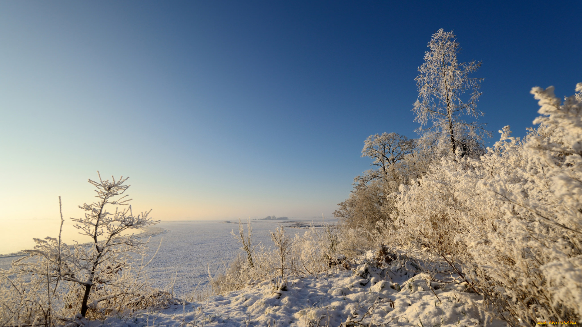 природа, зима, снег