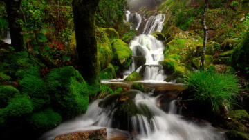 Картинка природа водопады лес камни поток