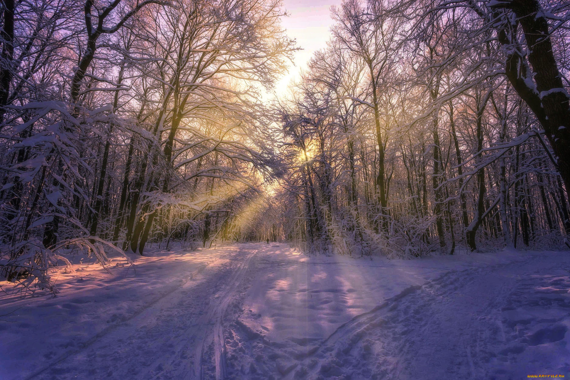 природа, дороги, солнце, зима, снег, лучи, aleksei, malygin, фото, деревья