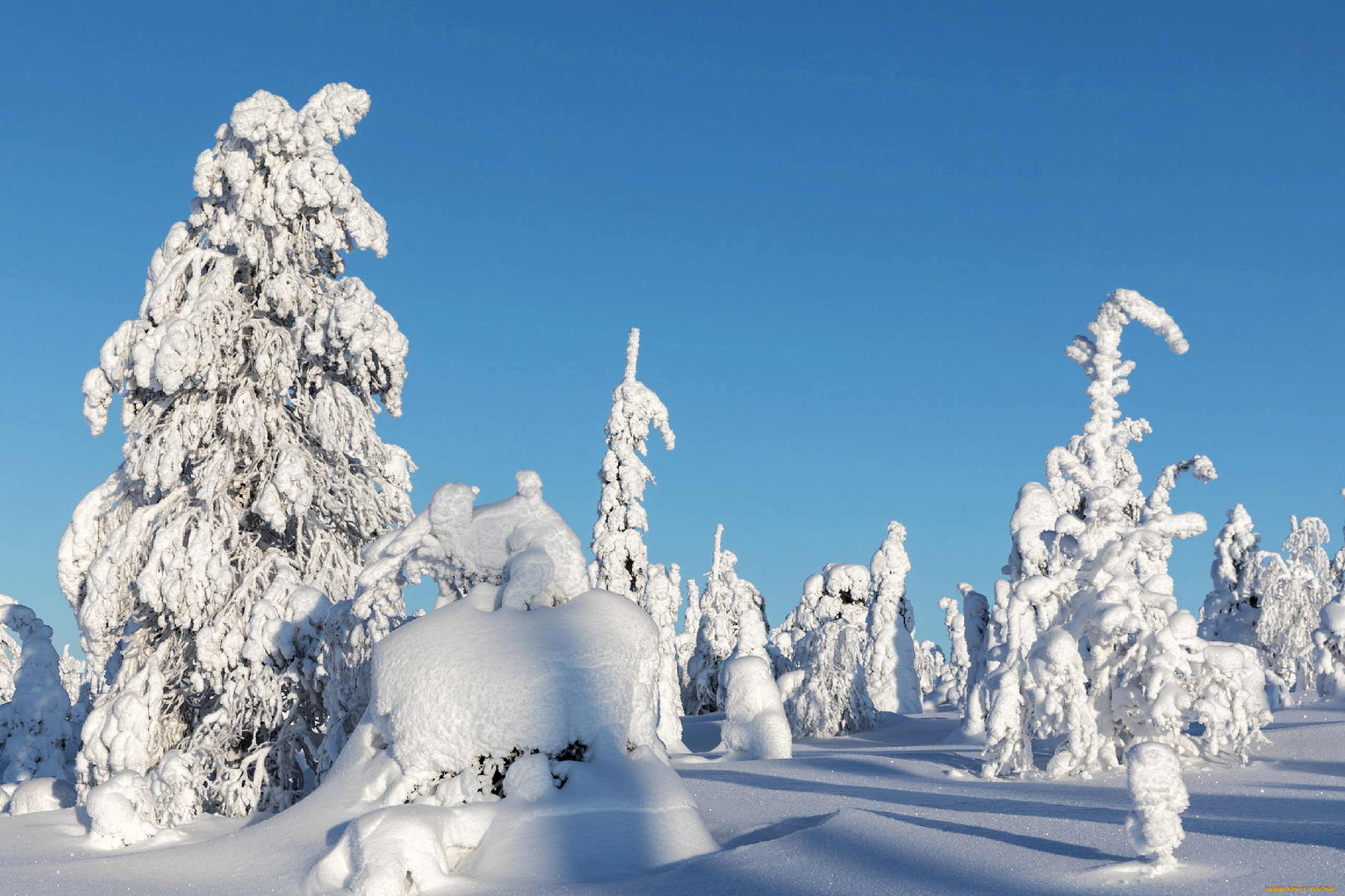 природа, зима, деревья, сугробы, снег